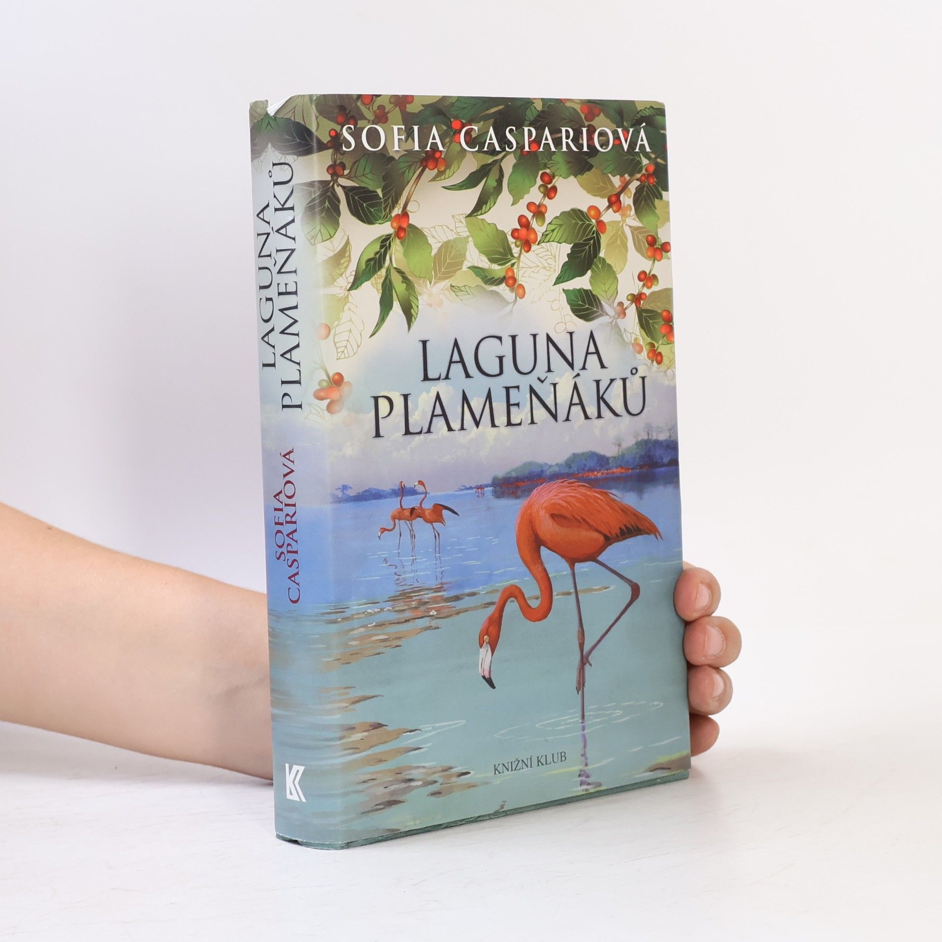 Sofia Caspari Laguna plameňáků