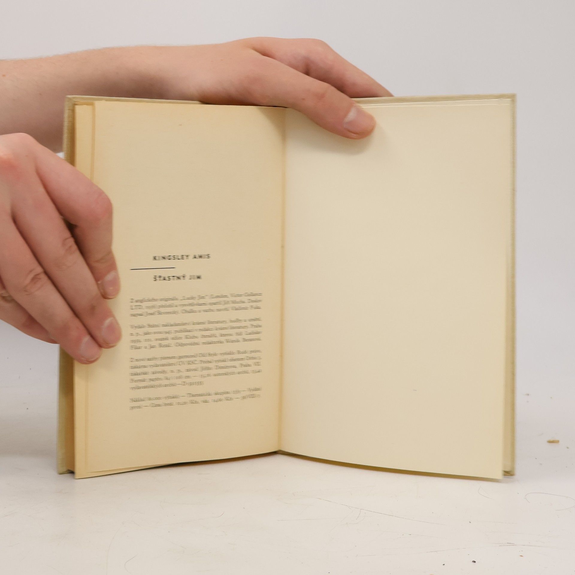 Kingsley Amis Šťastný Jim