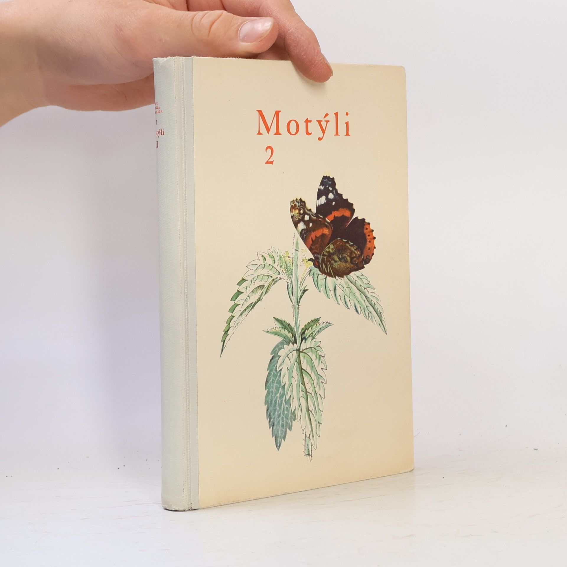 Motýli 2