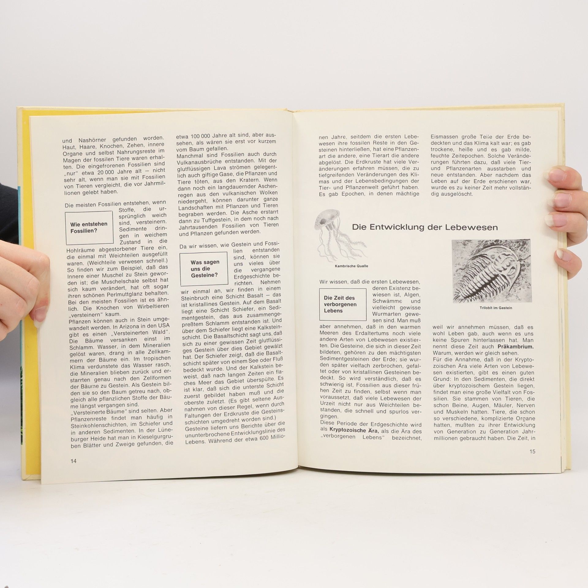 Christian Spaeth Was ist was? 38: Prähistorische Säugetiere