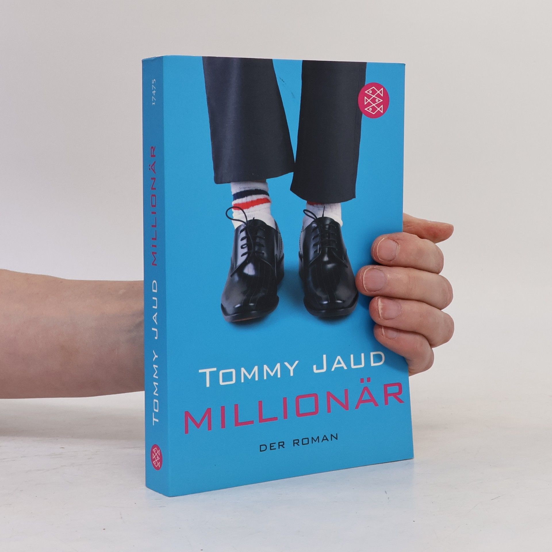 Tommy Jaud Millionär