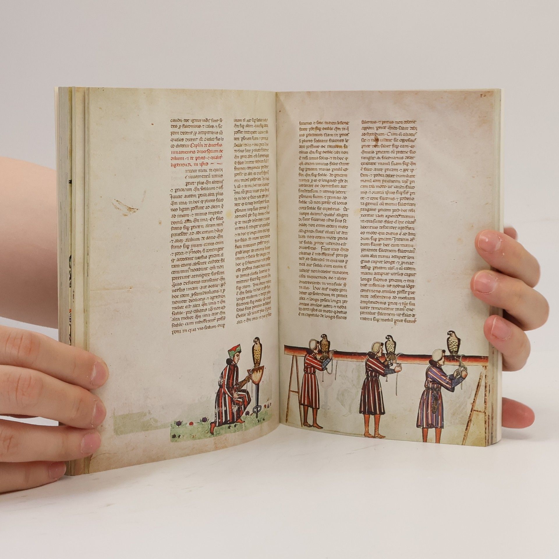 Fridrich II. Pruský Das Falkenbuch Kaiser Friedrichs II.
