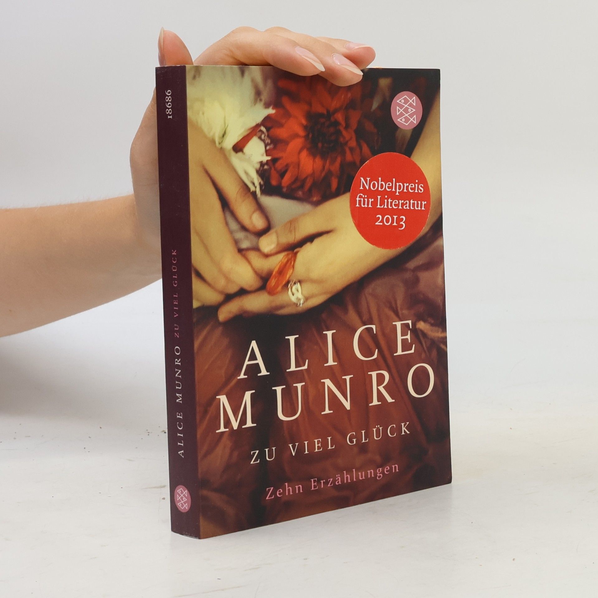 Alice Munro Zu viel Glück. zehn erzählungen