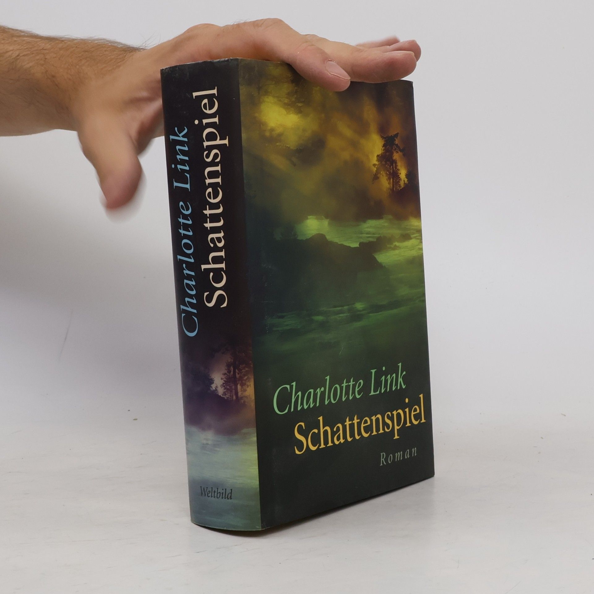 Charlotte Link Schattenspiel
