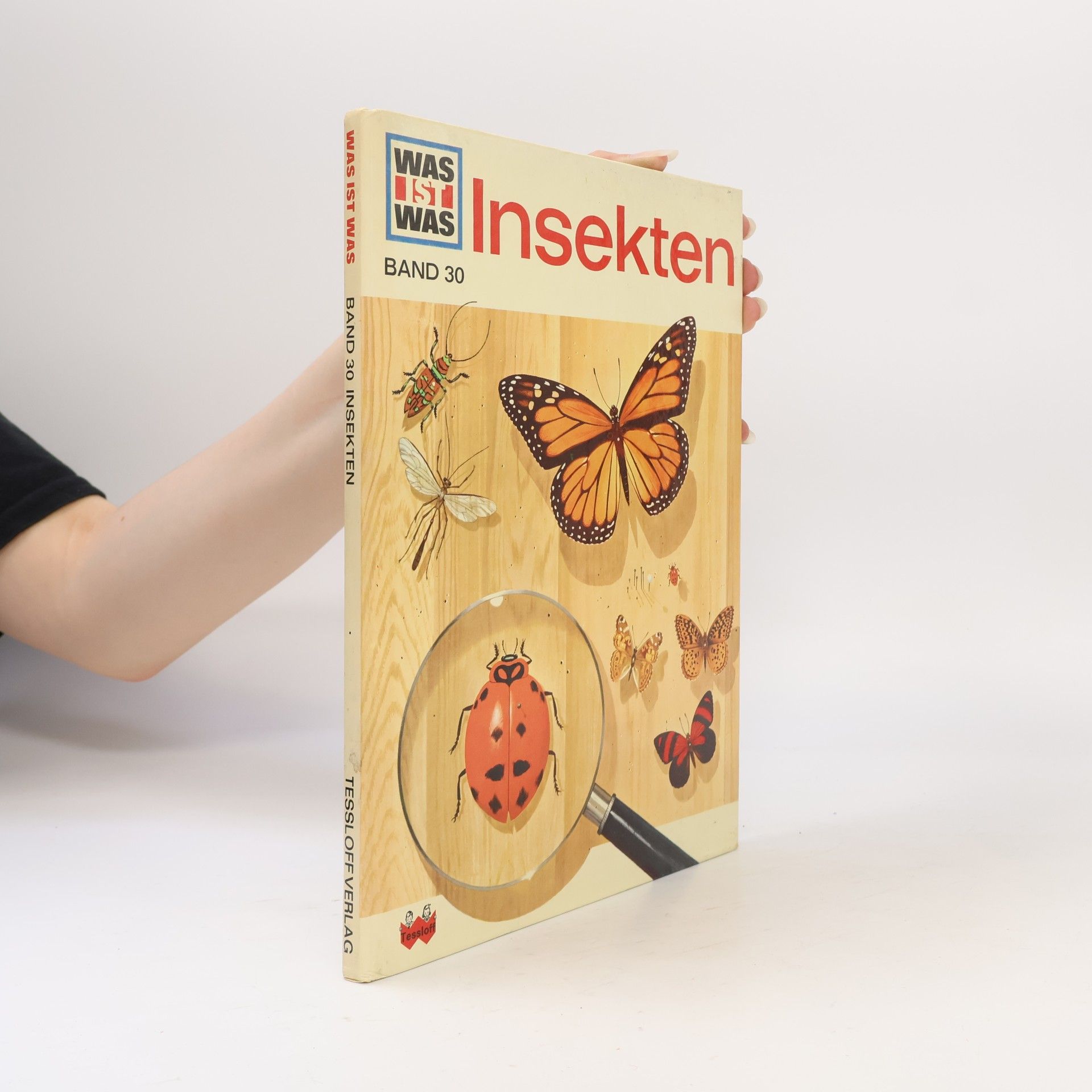 Sabine Steghaus Kovac Insekten