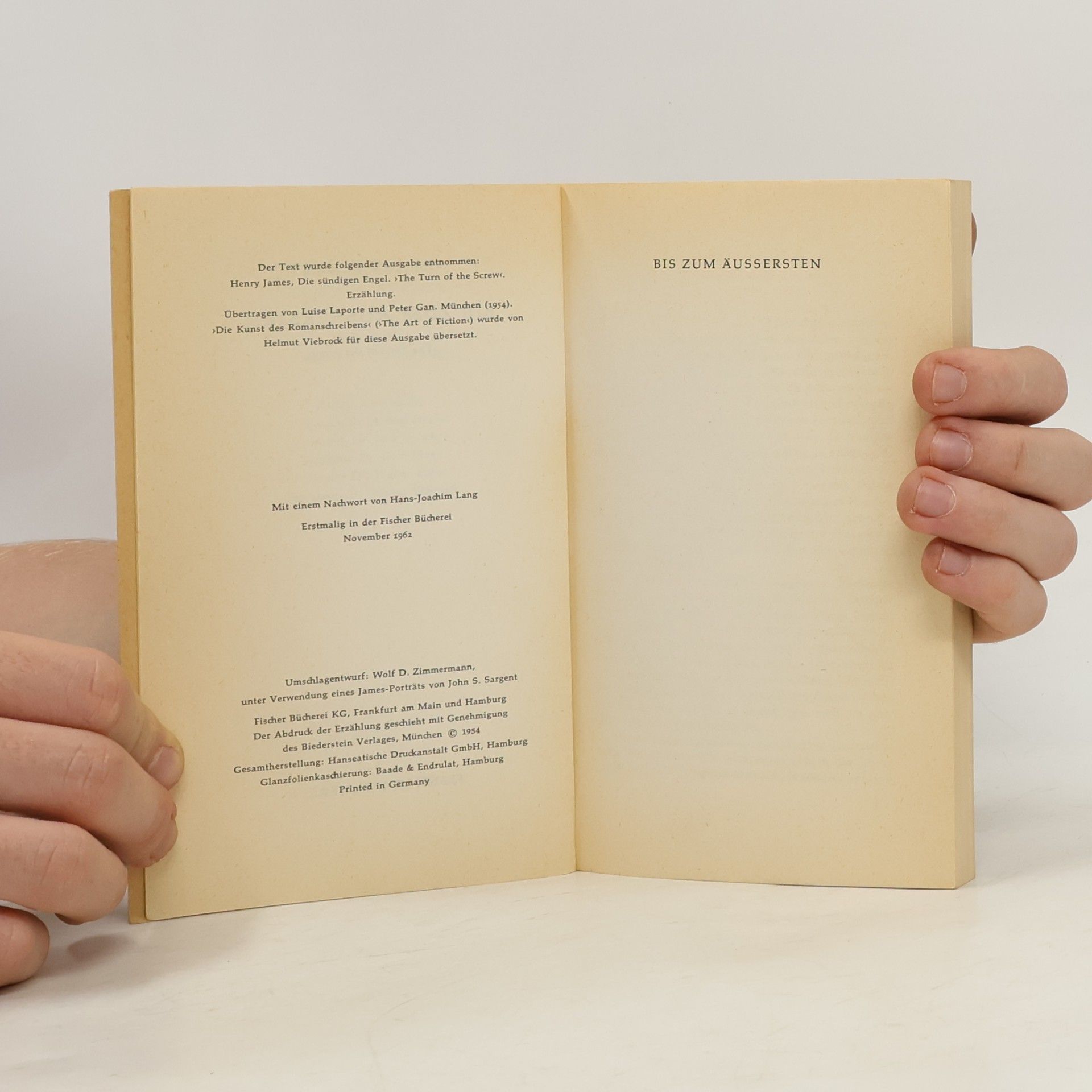 Henry James Bis zum Äußersten