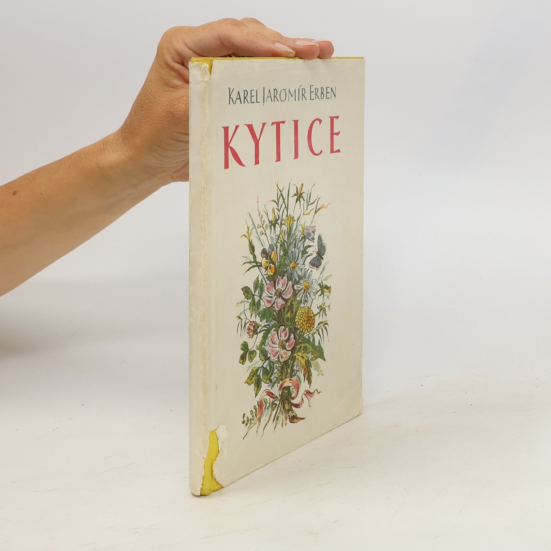 Karel Jaromír Erben Kytice z pověstí národních