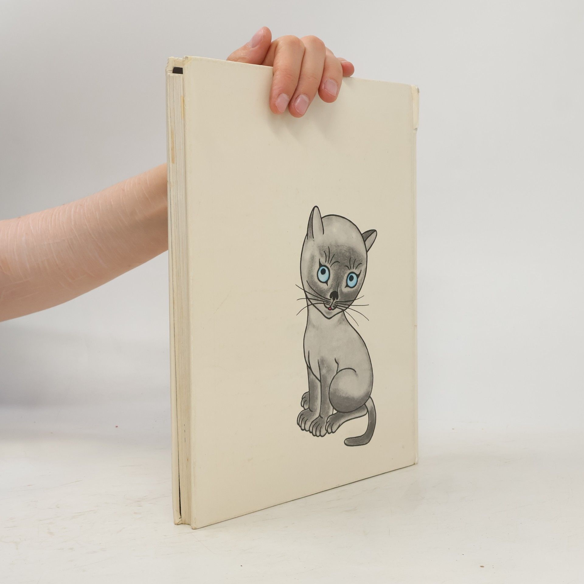 Helena Zmatlíková Kater Schnurr mit den blauen Augen