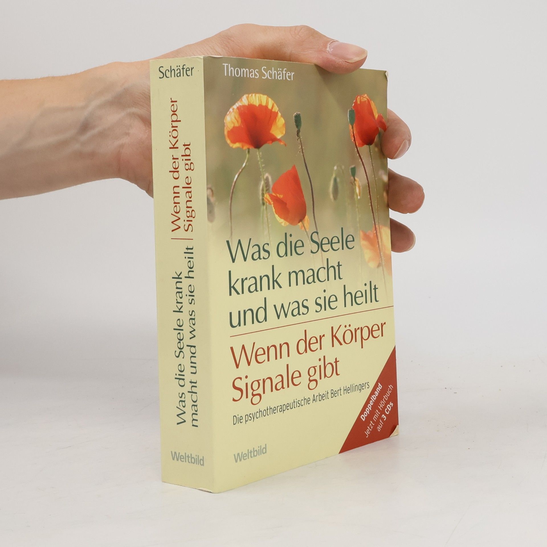 Thomas Schäfer Was die Seele krank macht und was sie heilt