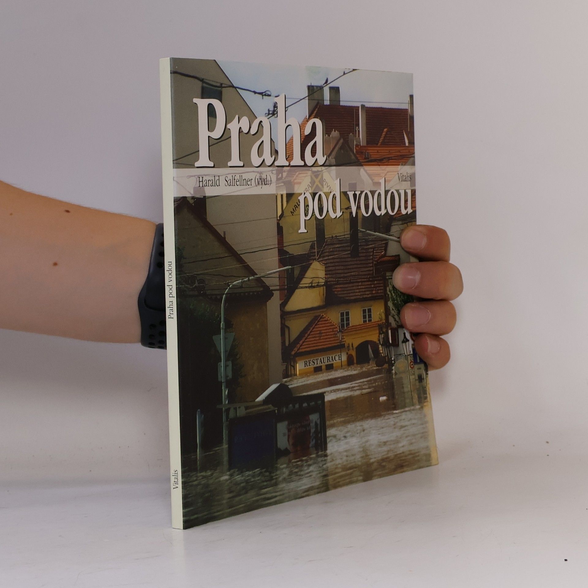 Harald Salfellner Praha pod vodou