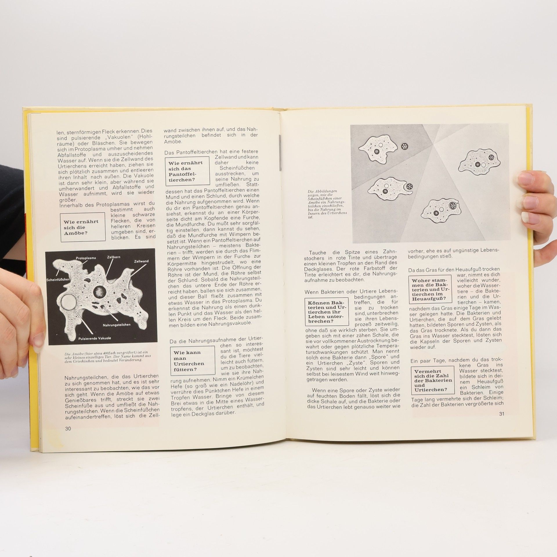 Dr. Rainer Köthe Das Mikroskop