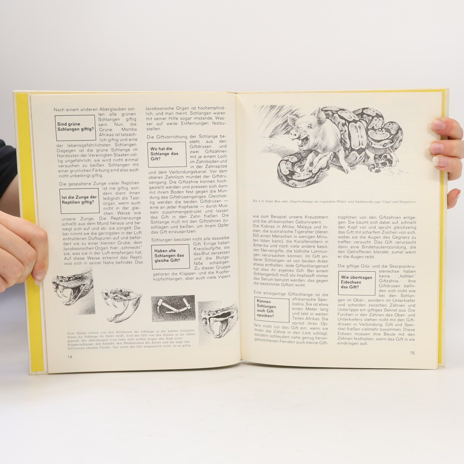 Manfred Niekisch Reptilien und Amphibien