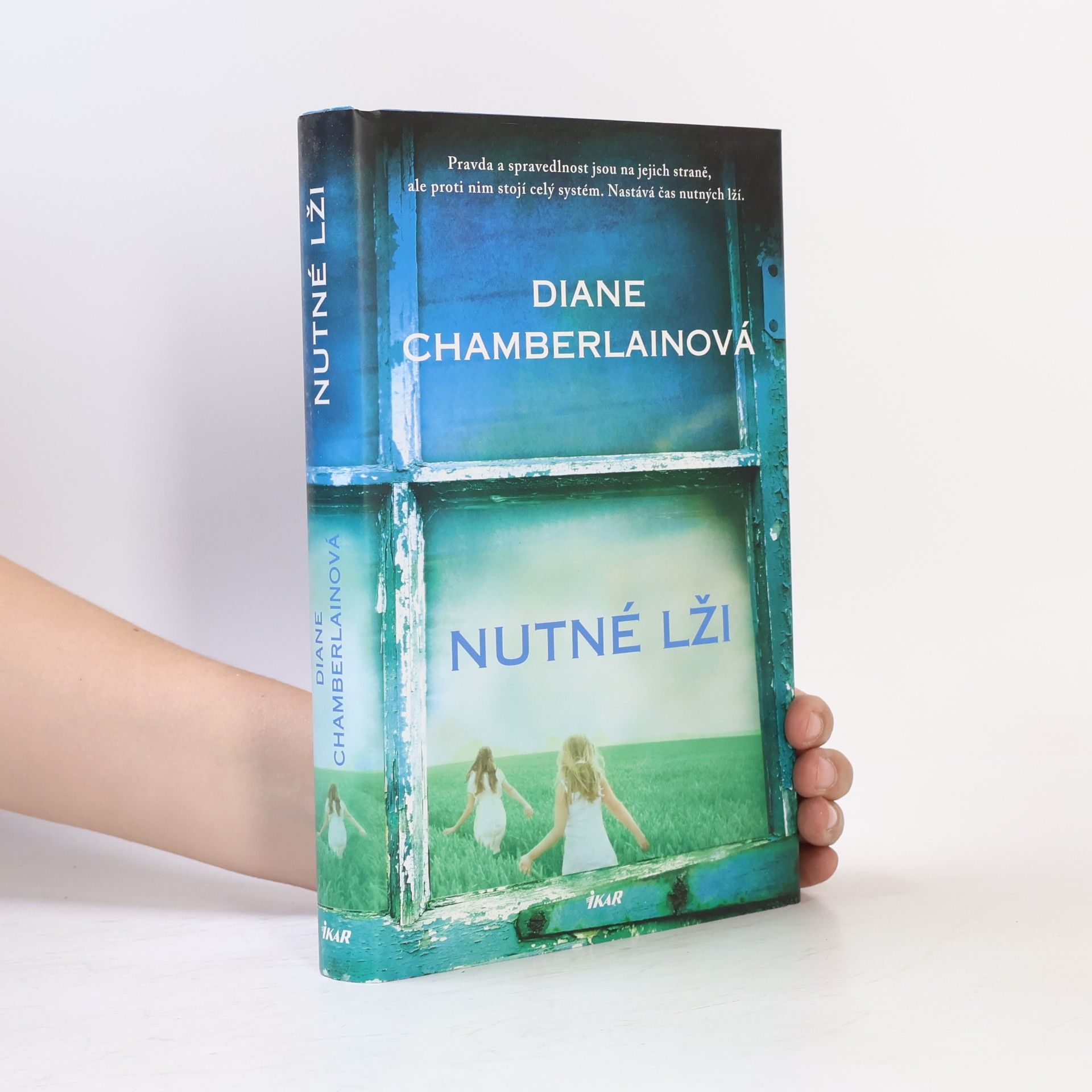 Diane Chamberlain Nutné lži