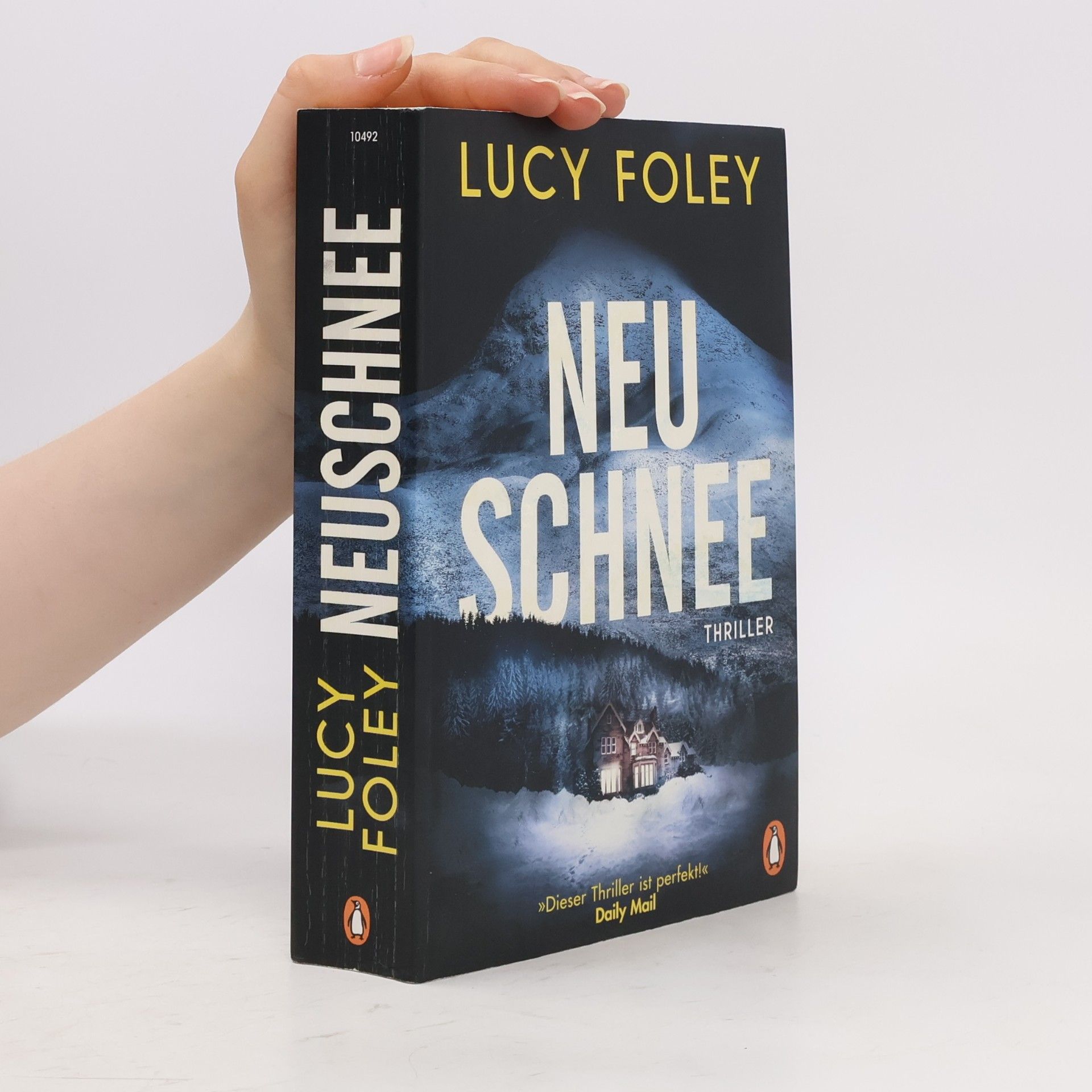 Lucy Foley Neuschnee