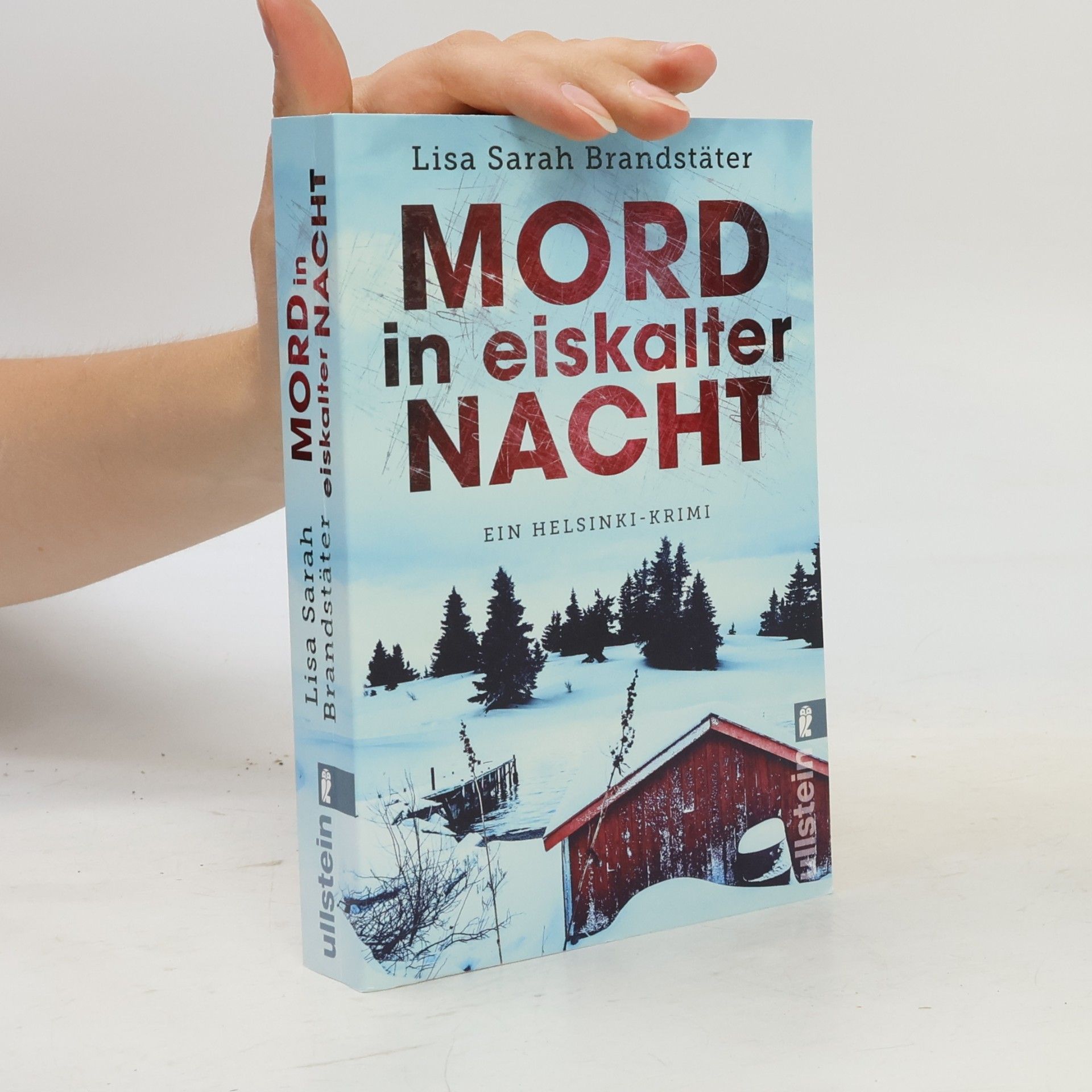 Lisa Sarah Brandstäter Mord in eiskalter Nacht