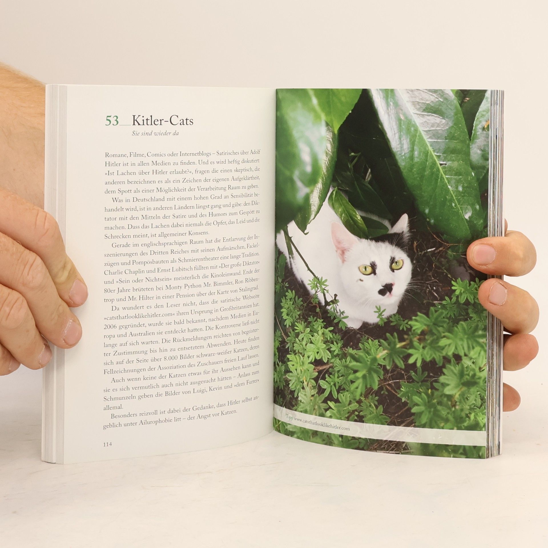 Elke Pistor 111 Katzen, die man kennen sollte