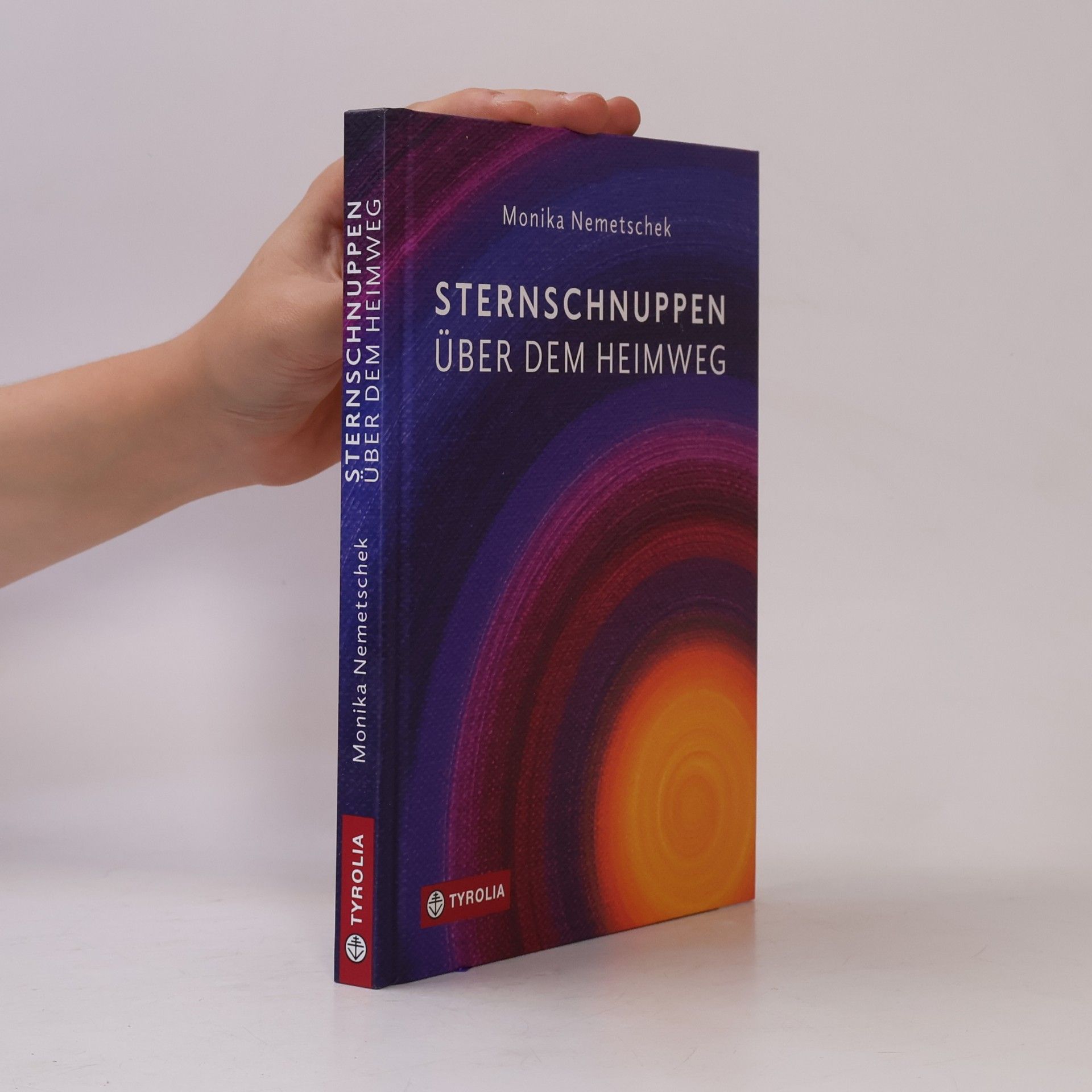 Monika Nemetschek Sternschnuppen über dem Heimweg