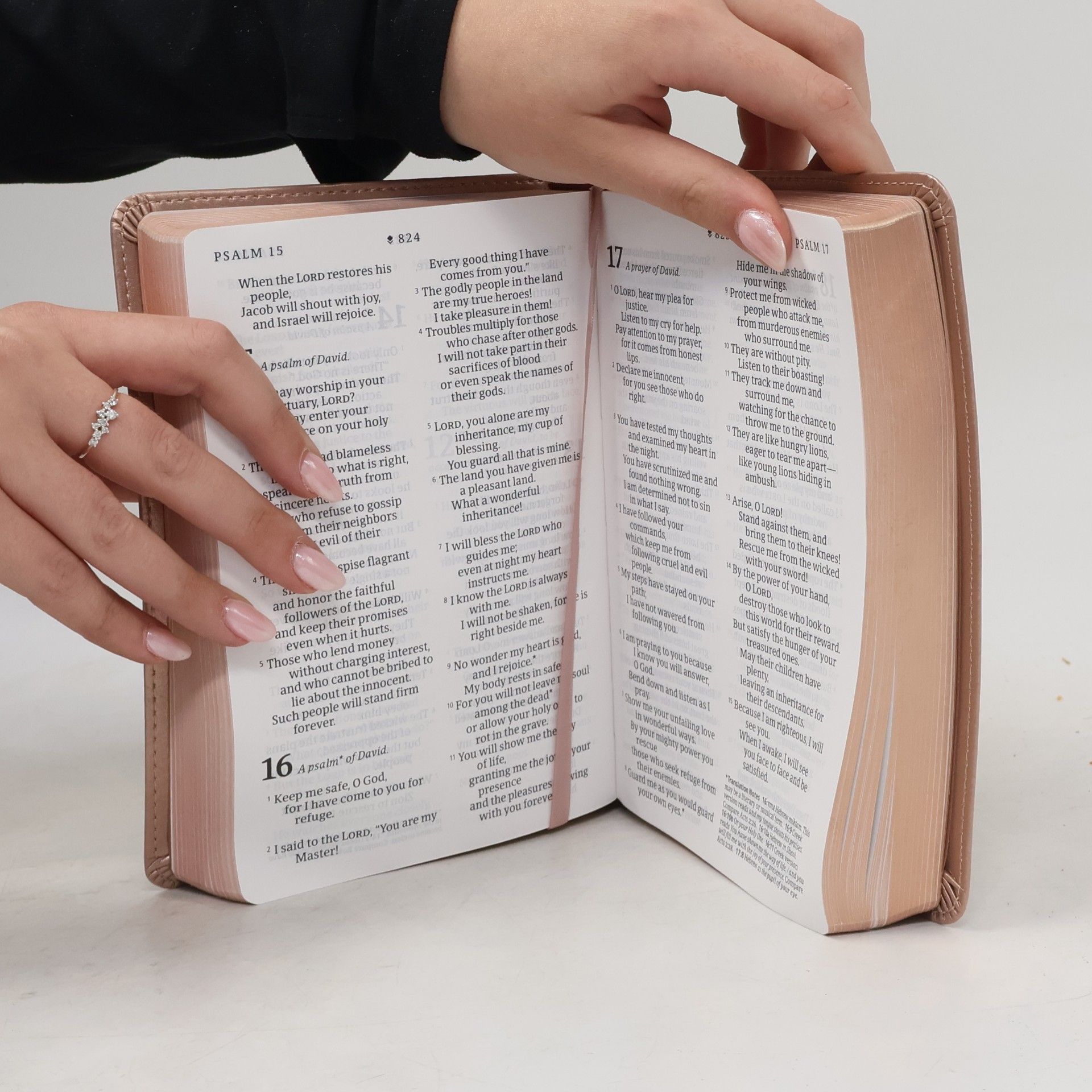 New Living Translation: Holy Bible