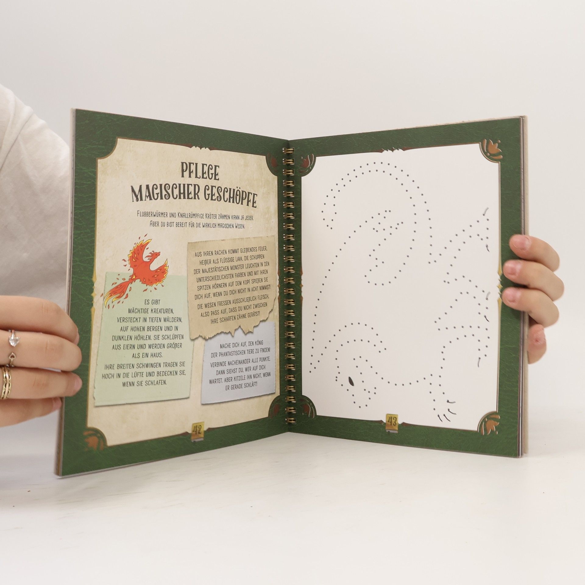 Katharina Bensch Das inoffizielle Fanbuch zu Harry Potter