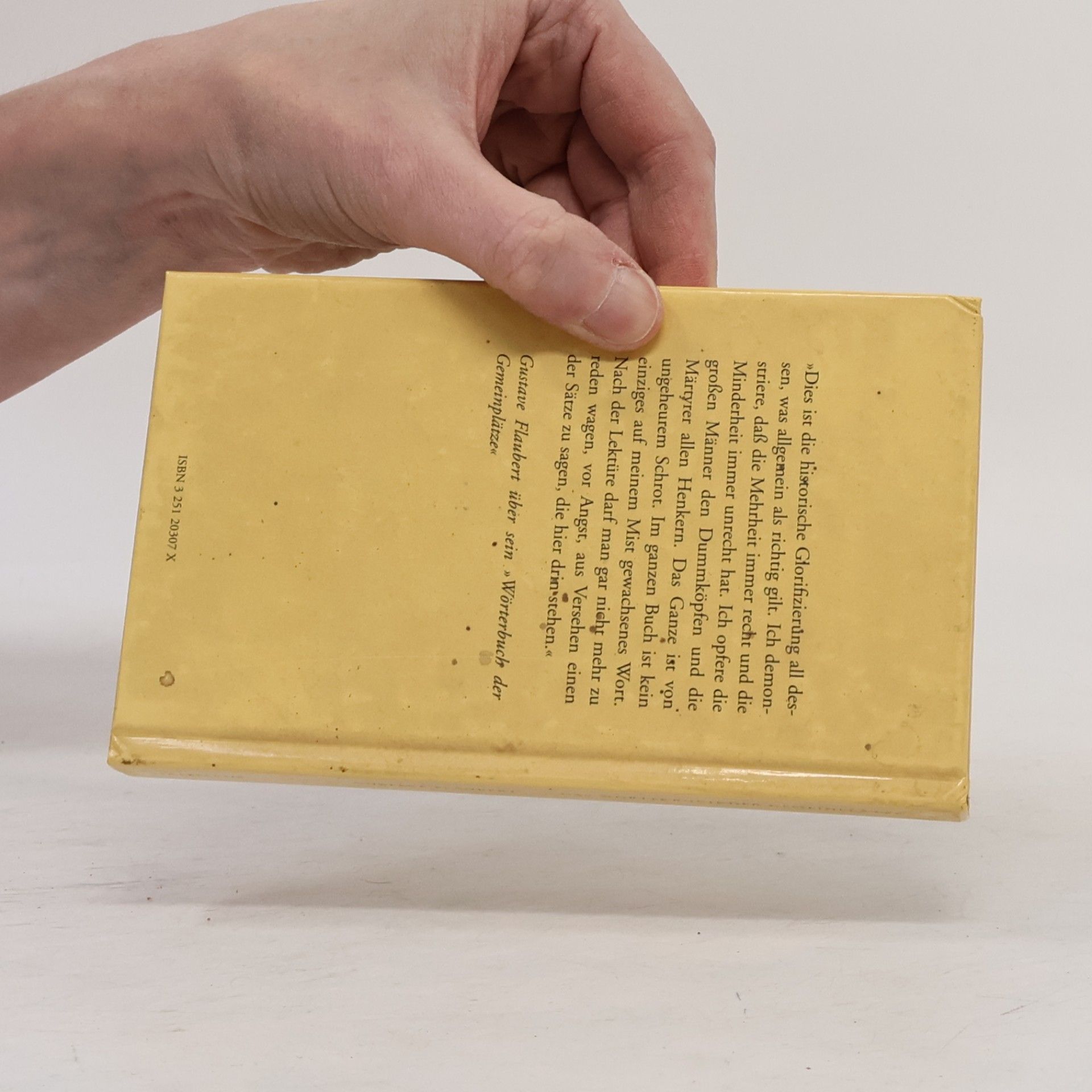 Gustave Flaubert Wörterbuch der Gemeinplätze