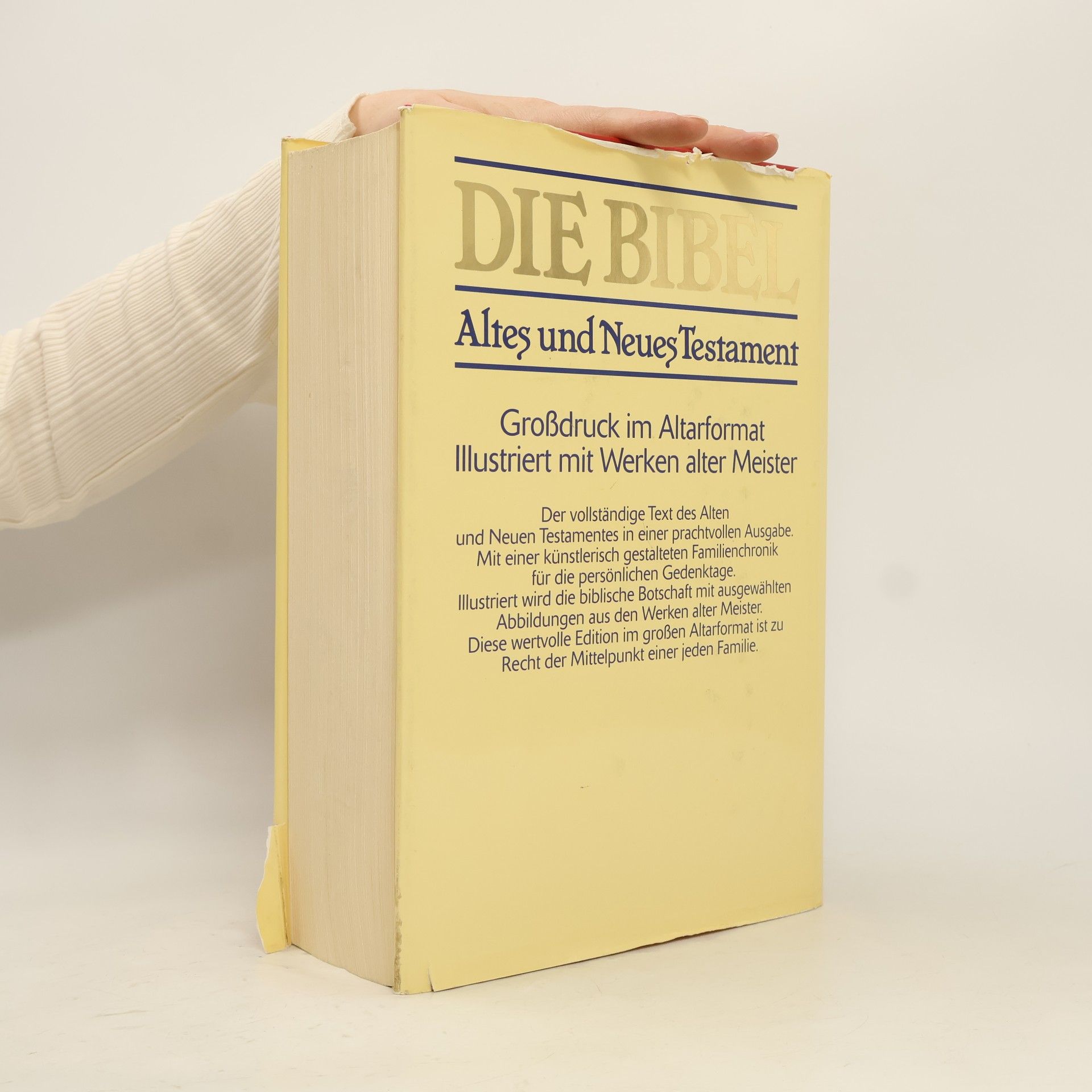 Collectif d'auteurs Die Bibel. Altes Und Neues Testament