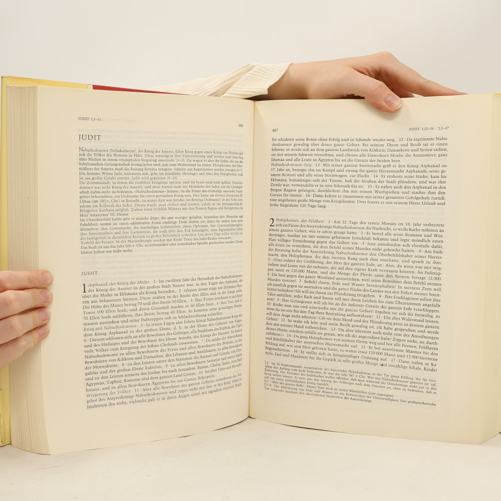 Collectif d'auteurs Die Bibel. Altes Und Neues Testament