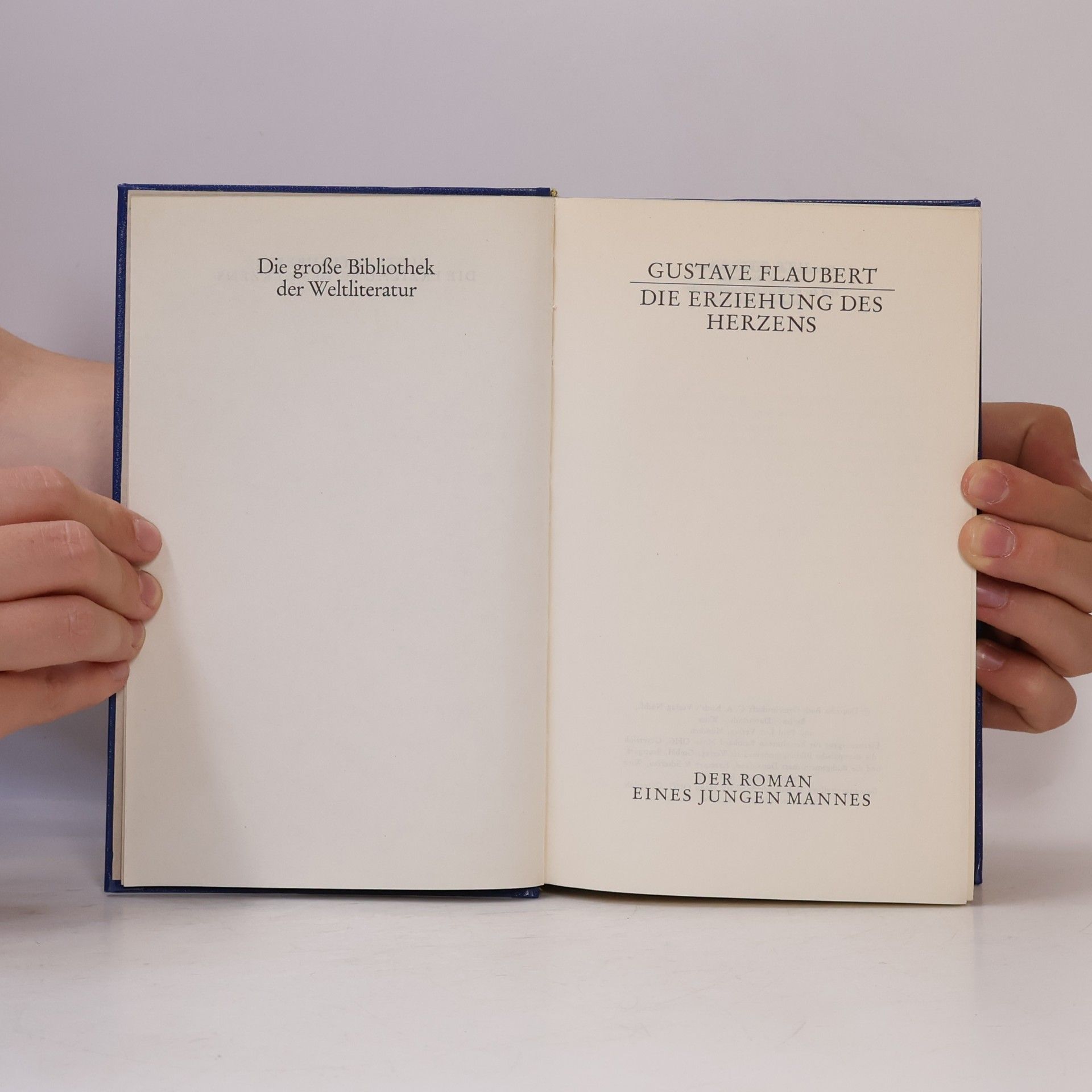 Gustave Flaubert Die Erziehung des Herzens