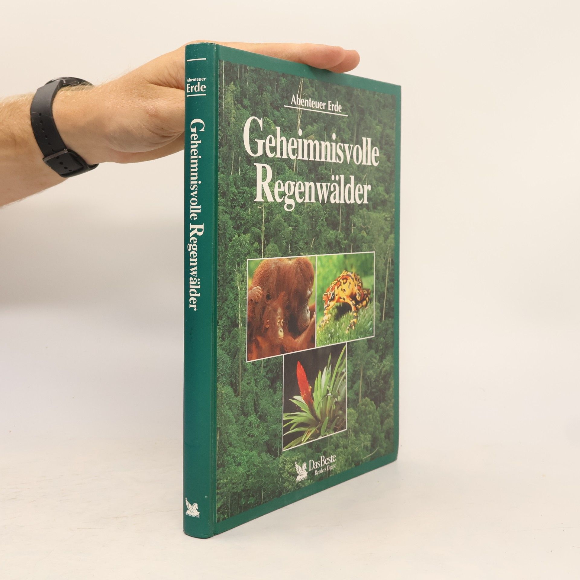 Autorenkollektiv Geheimnisvolle Regenwälder