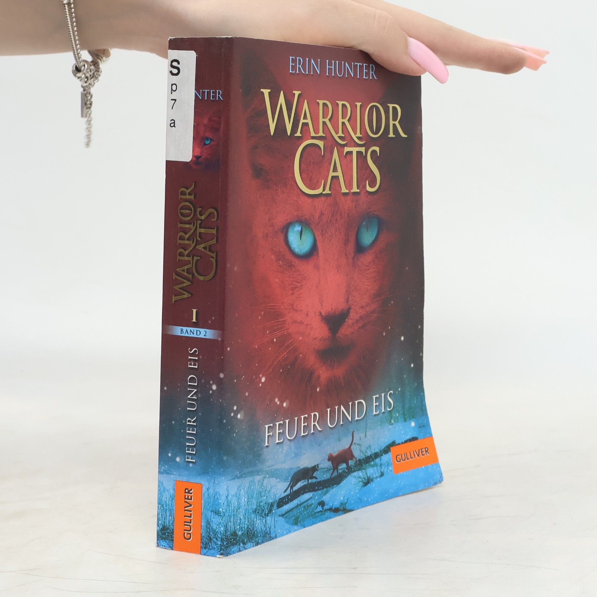 Erin Hunter Warrior Cats. Feuer und Eis