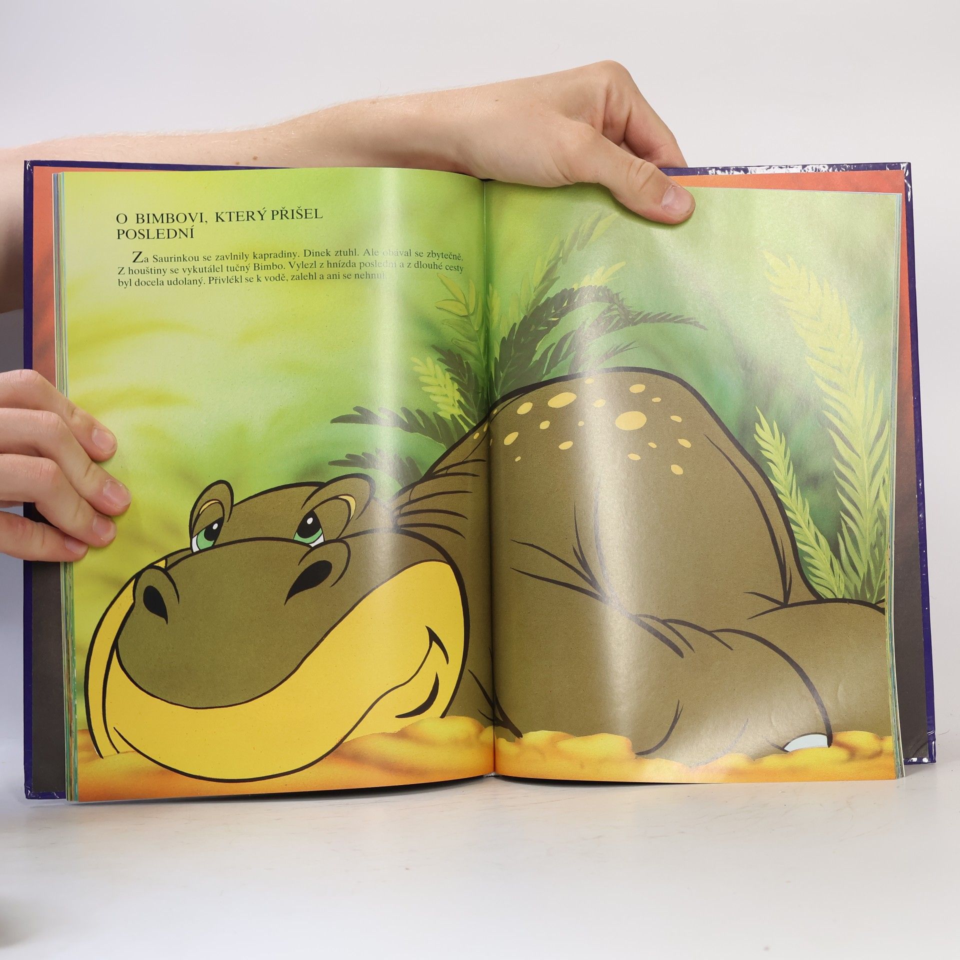 Emília Činčurová Dinosaurie: O Brontosaurovic rodině