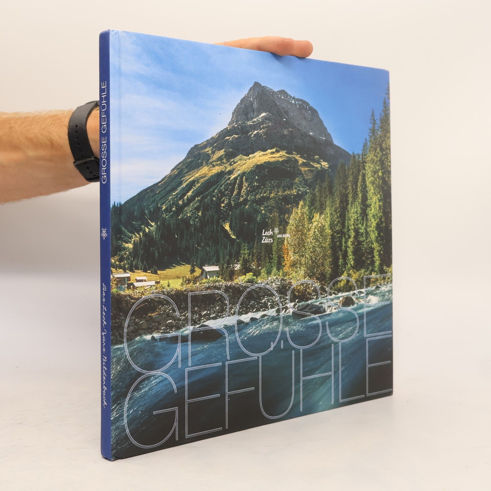 Autorenkollektiv Große Gefühle. Das Lech Zürs Bilderbuch