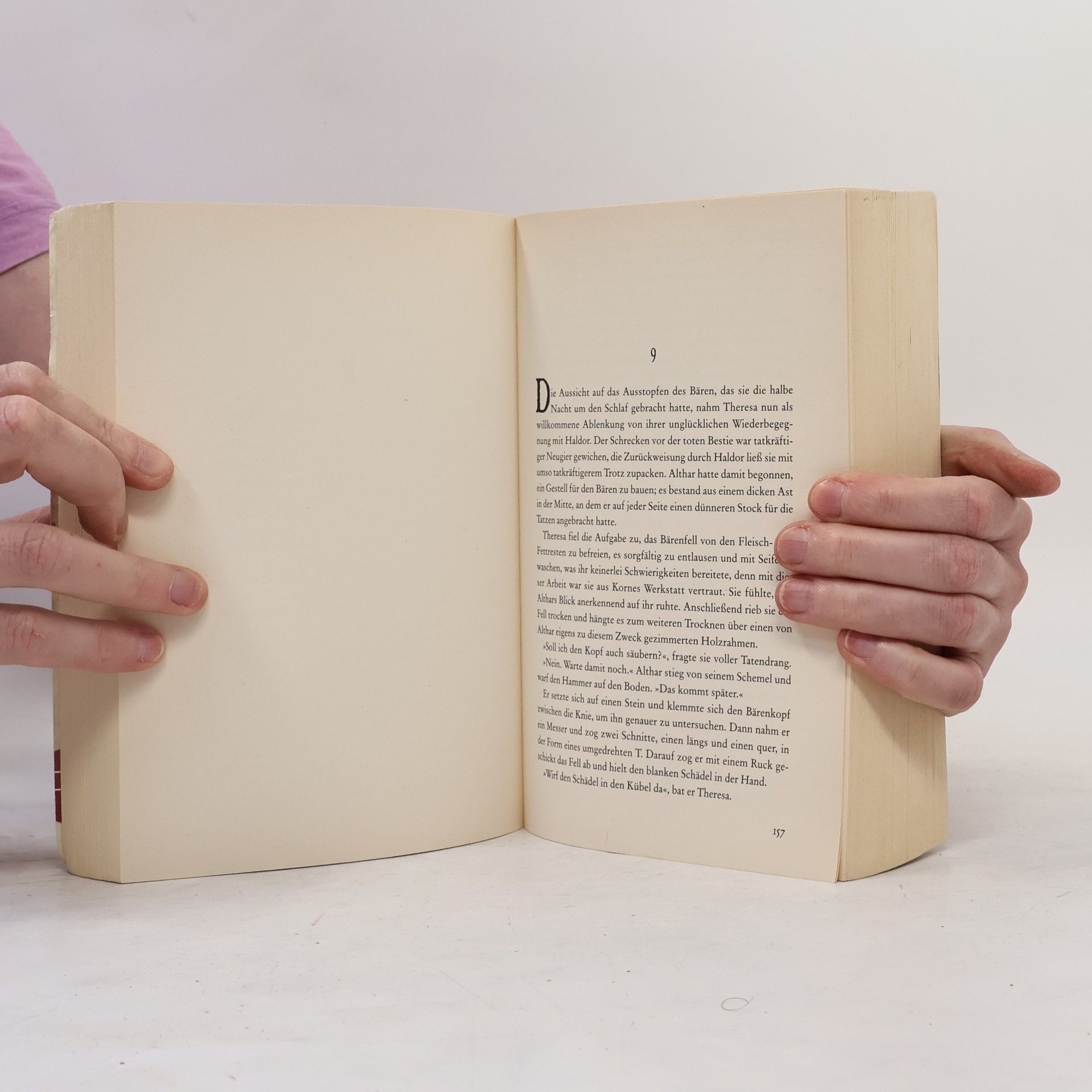 Antonio Garrido Das Pergament des Himmels