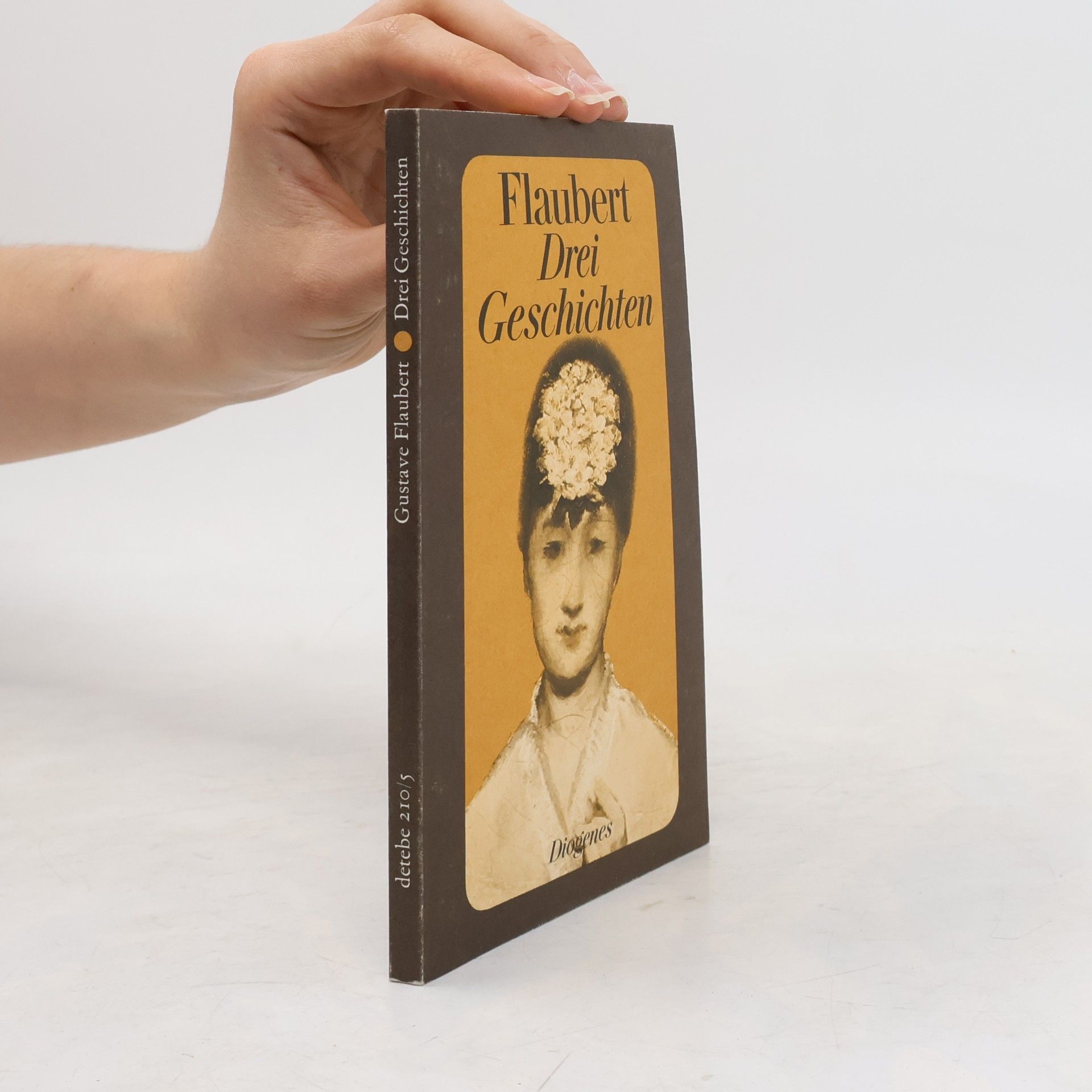 Gustave Flaubert Drei Geschichten
