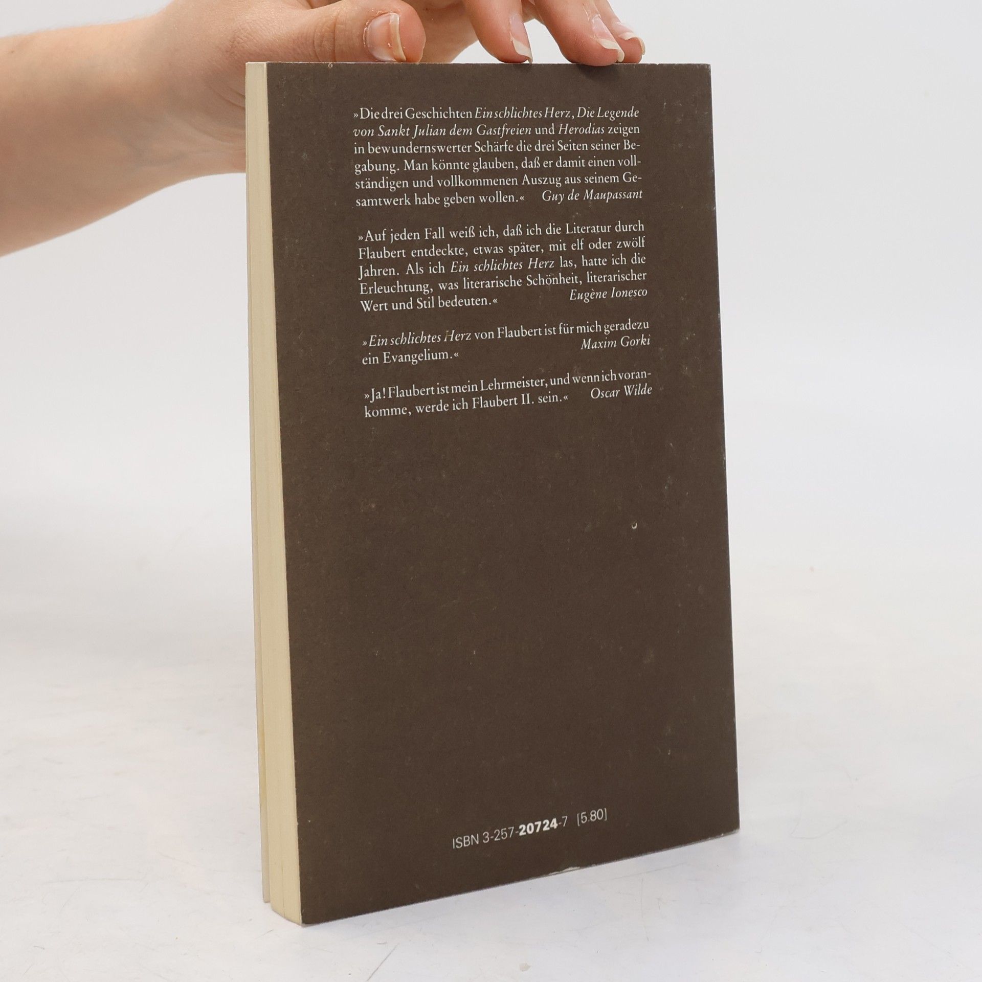 Gustave Flaubert Drei Geschichten
