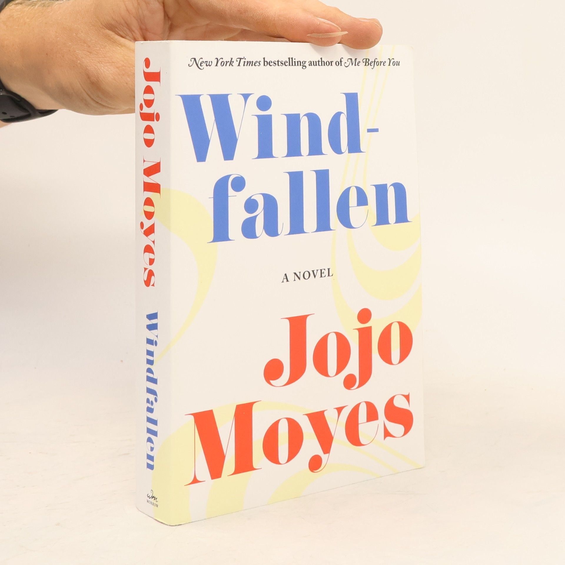 Jojo Moyes Windfallen
