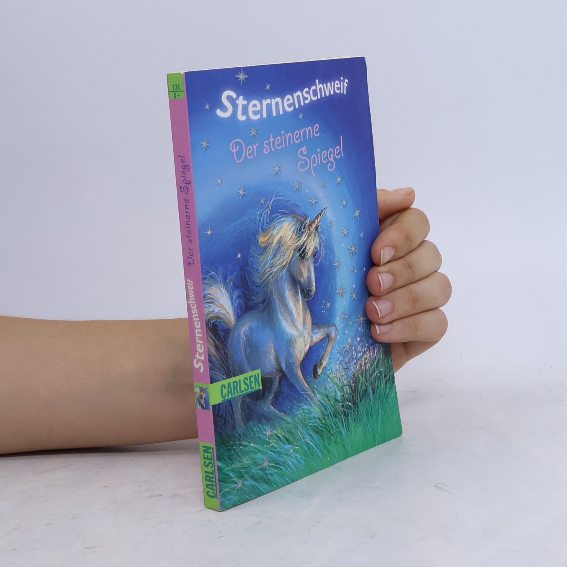 Linda Chapman Sternenschweif. Der steinerne Spiegel
