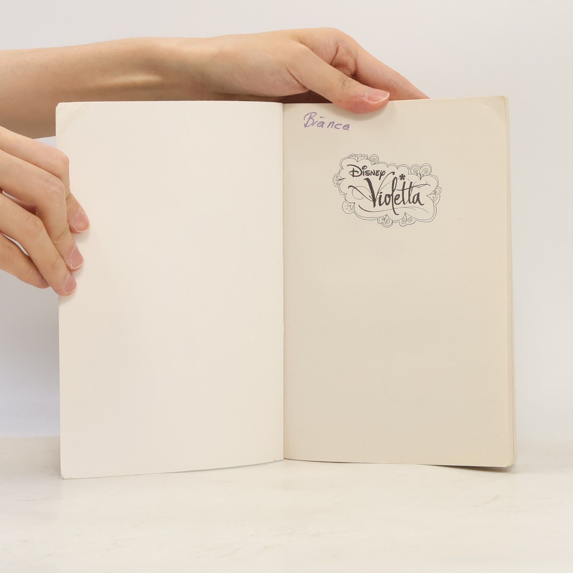 Autorenkollektiv Violetta 1. In meiner Welt