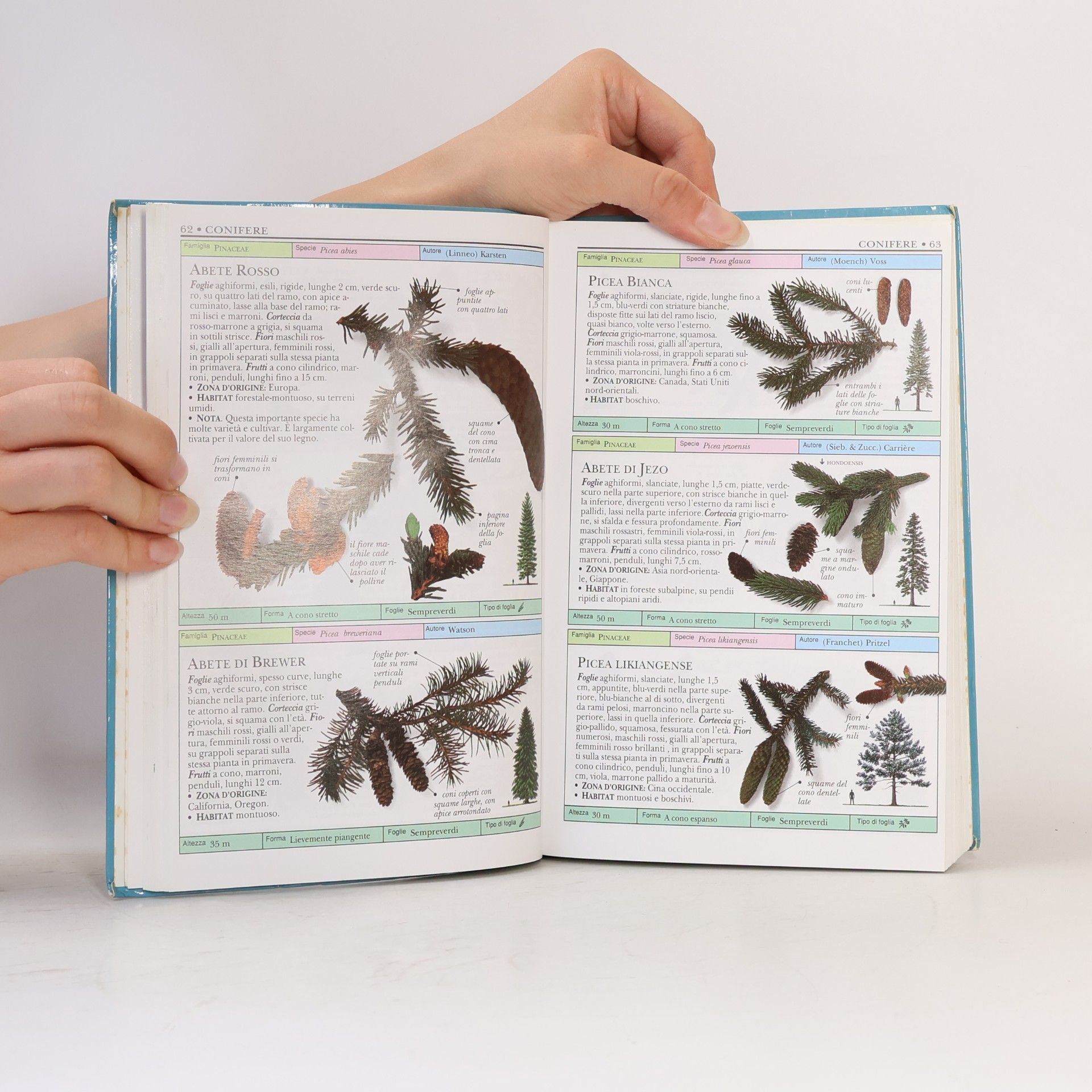 Autorenkollektiv La biblioteca della Natura 1. Alberi