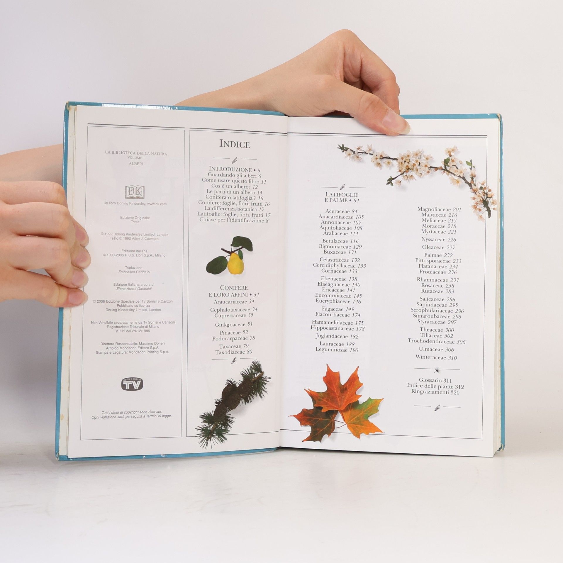 Autorenkollektiv La biblioteca della Natura 1. Alberi