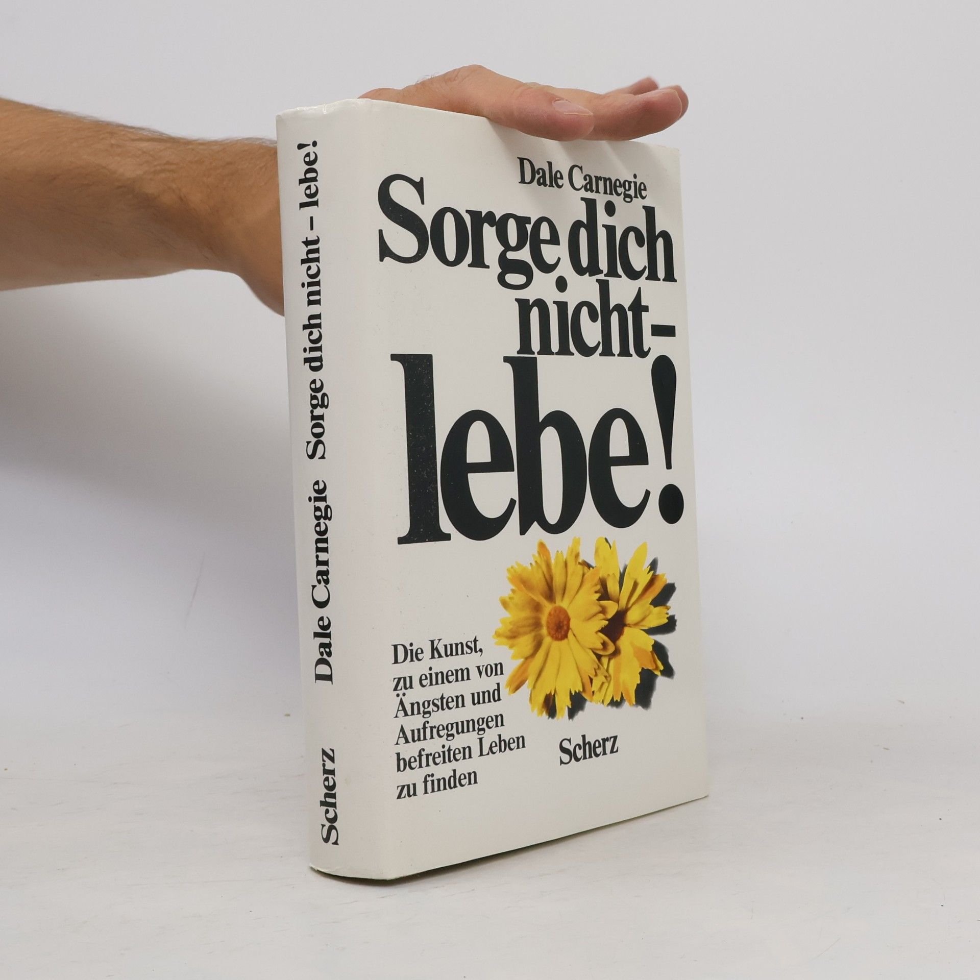 Dale Carnegie Sorge dich nicht - lebe!