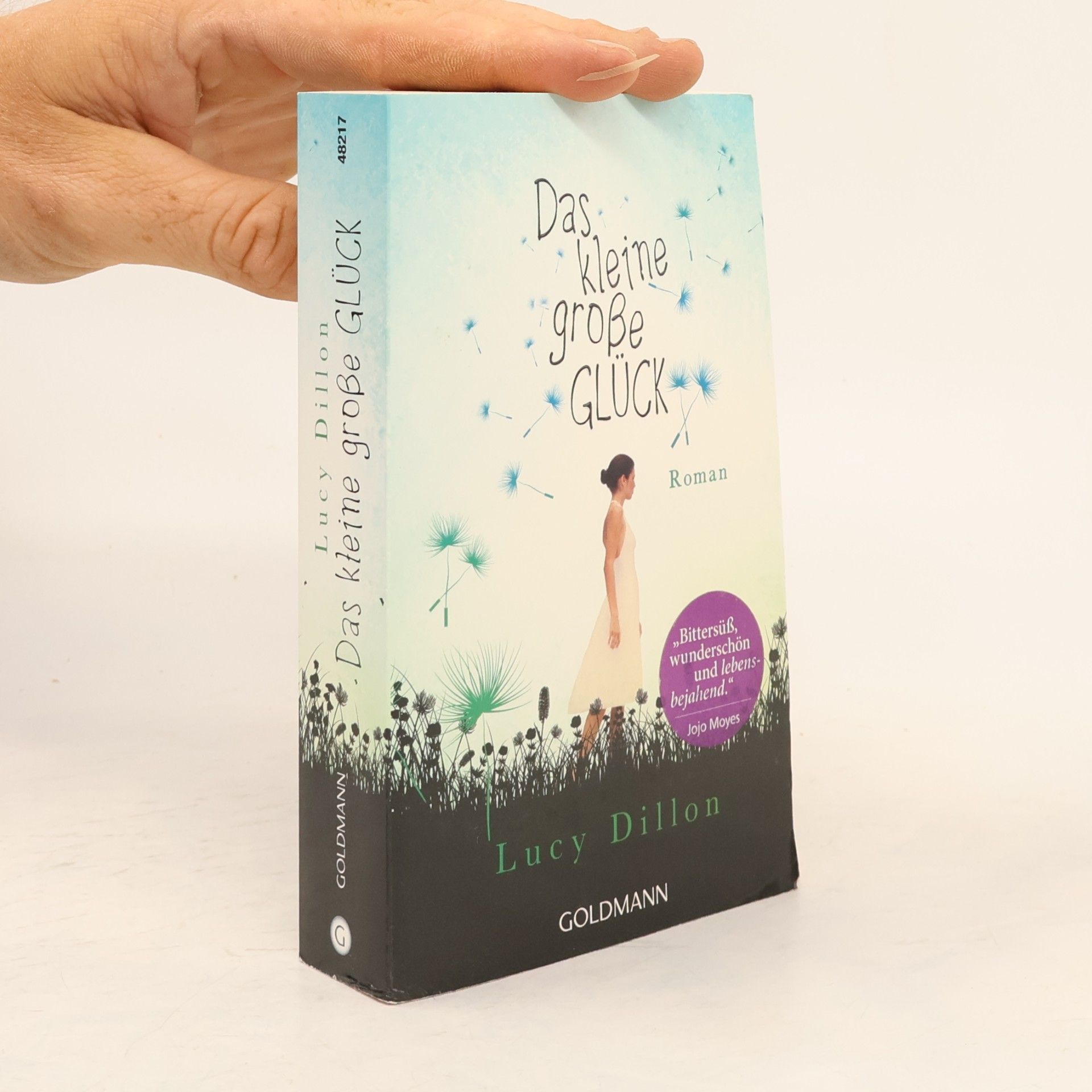 Lucy Dillon Das kleine große Glück