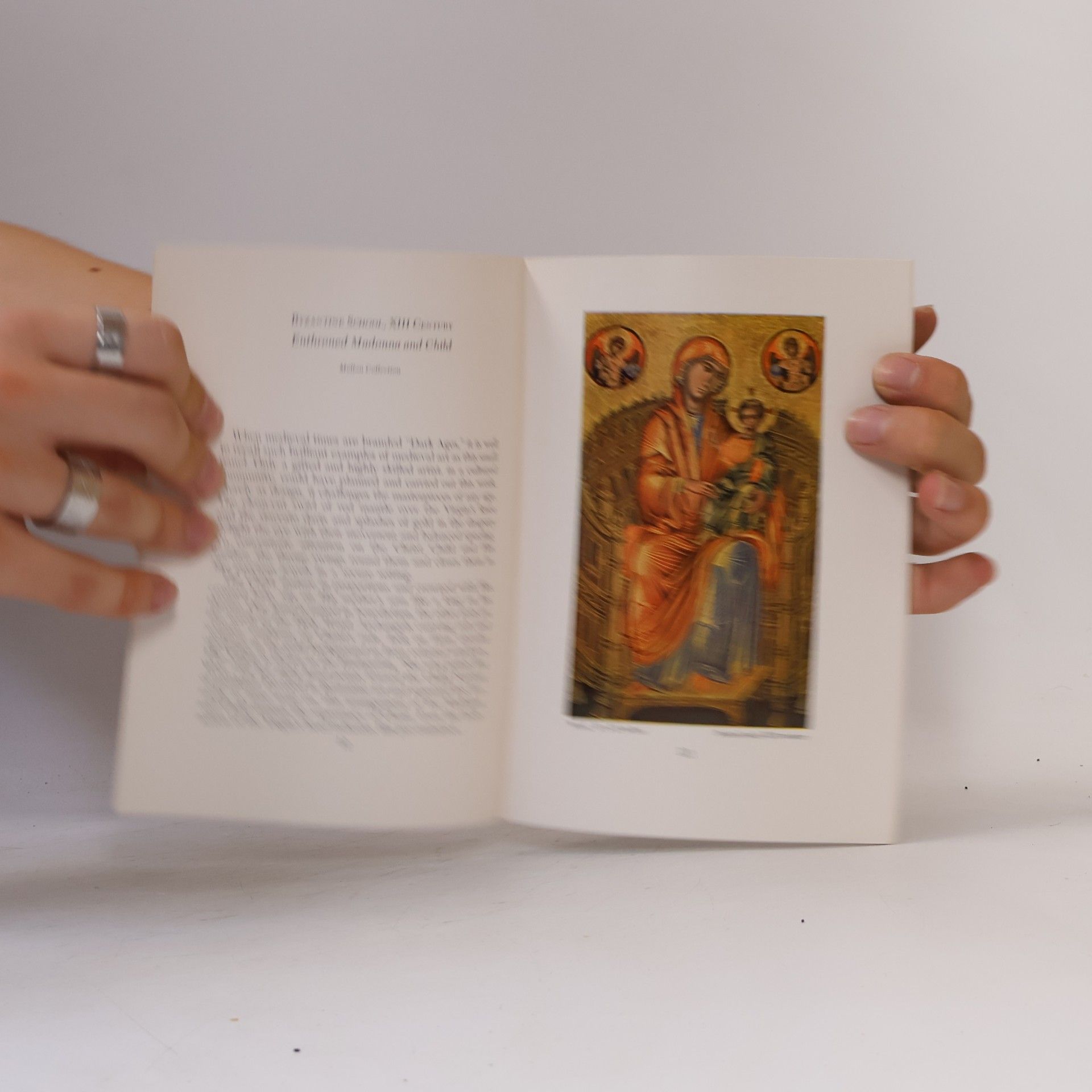 Fern Rusk Shapley Early Italian Painting