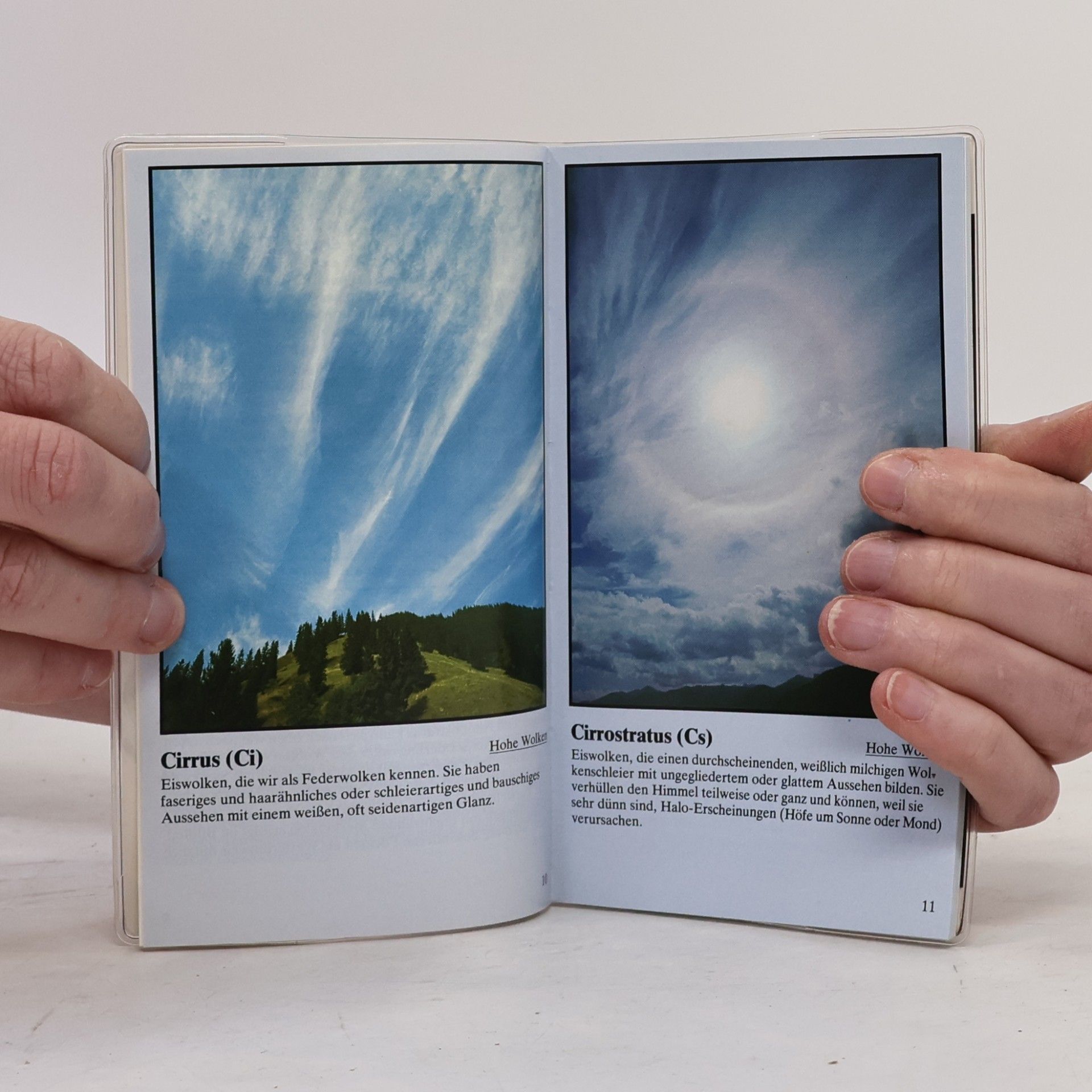 Ernst Neukamp Neukamps Wolken-Wetter-Kompaß