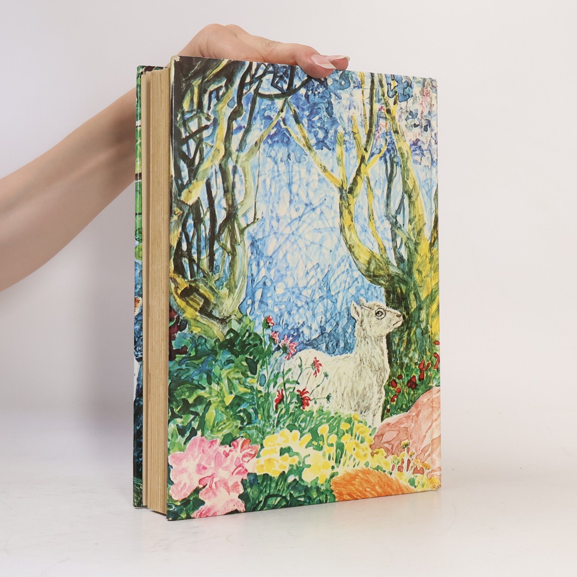 Frances Hodgson Burnett Il giardino segreto