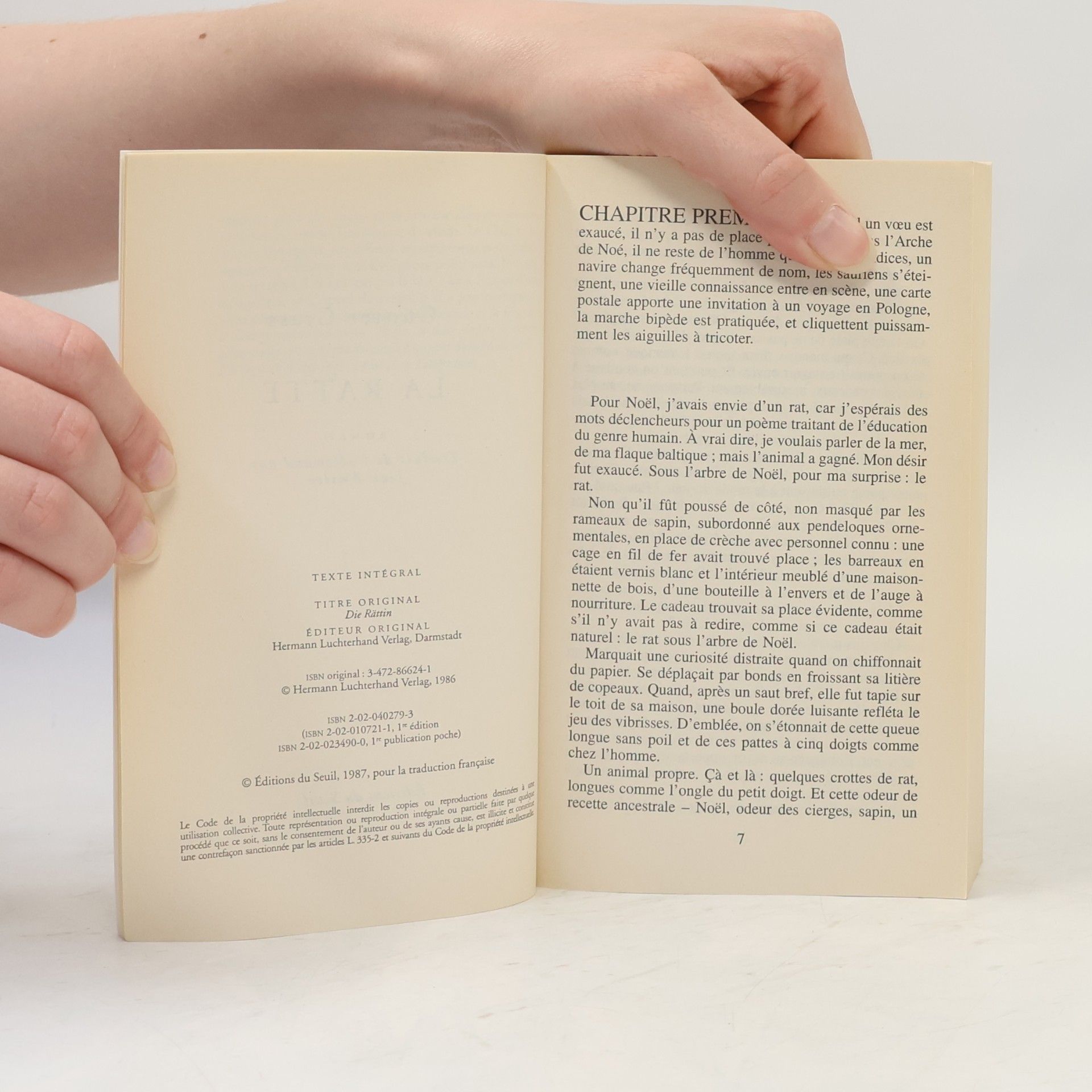 Günter Grass Points: La Ratte