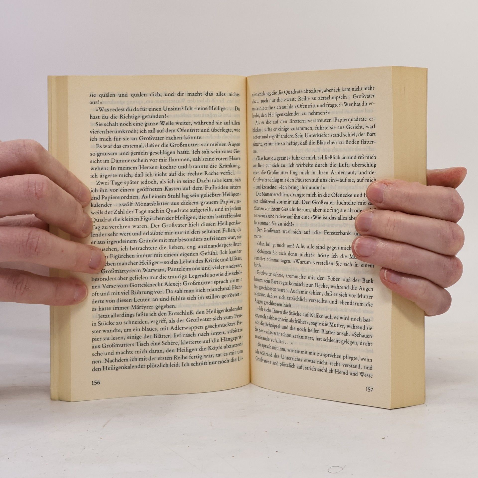 Maxim Gorky Meine Kindheit