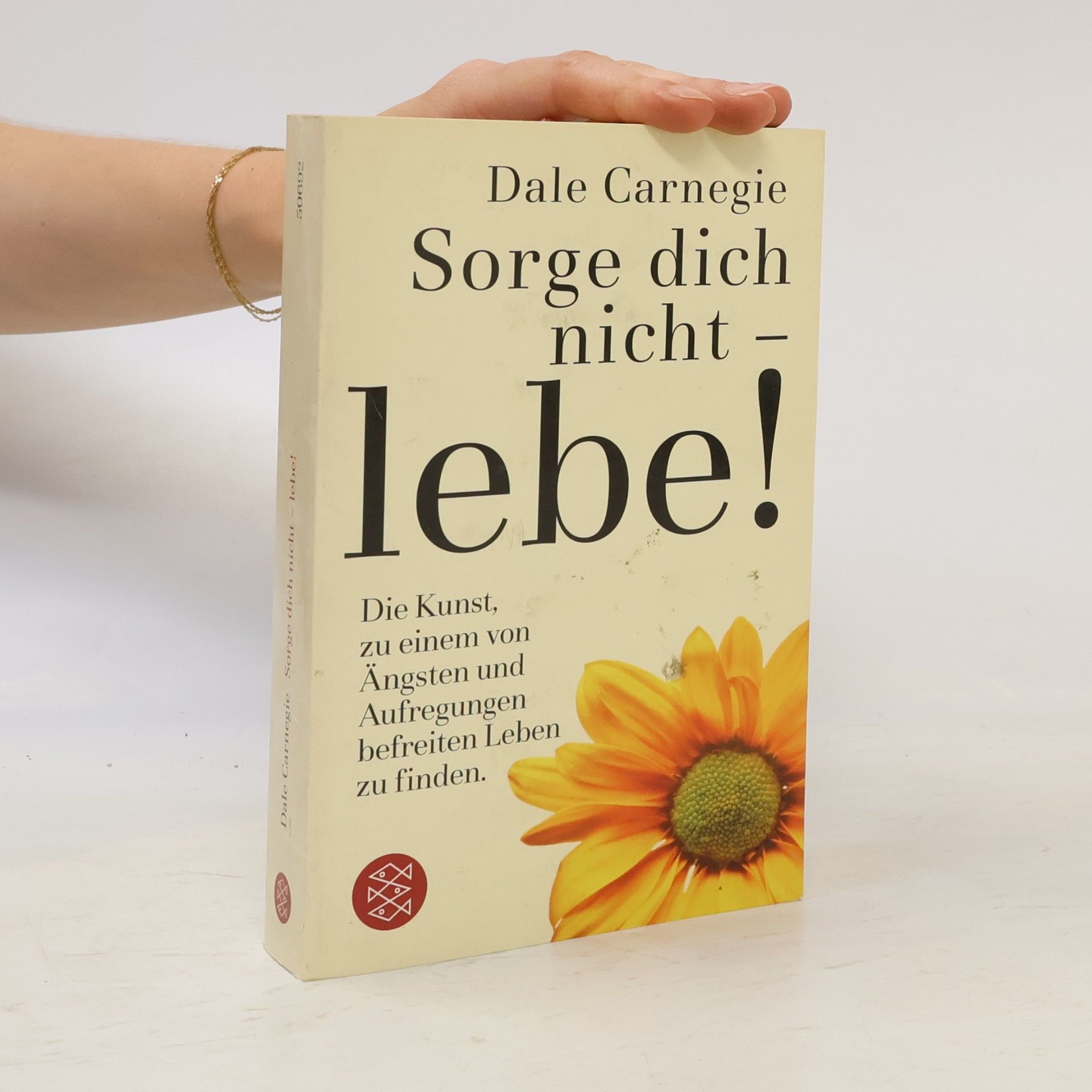 Dale Carnegie Sorge dich nicht - lebe!