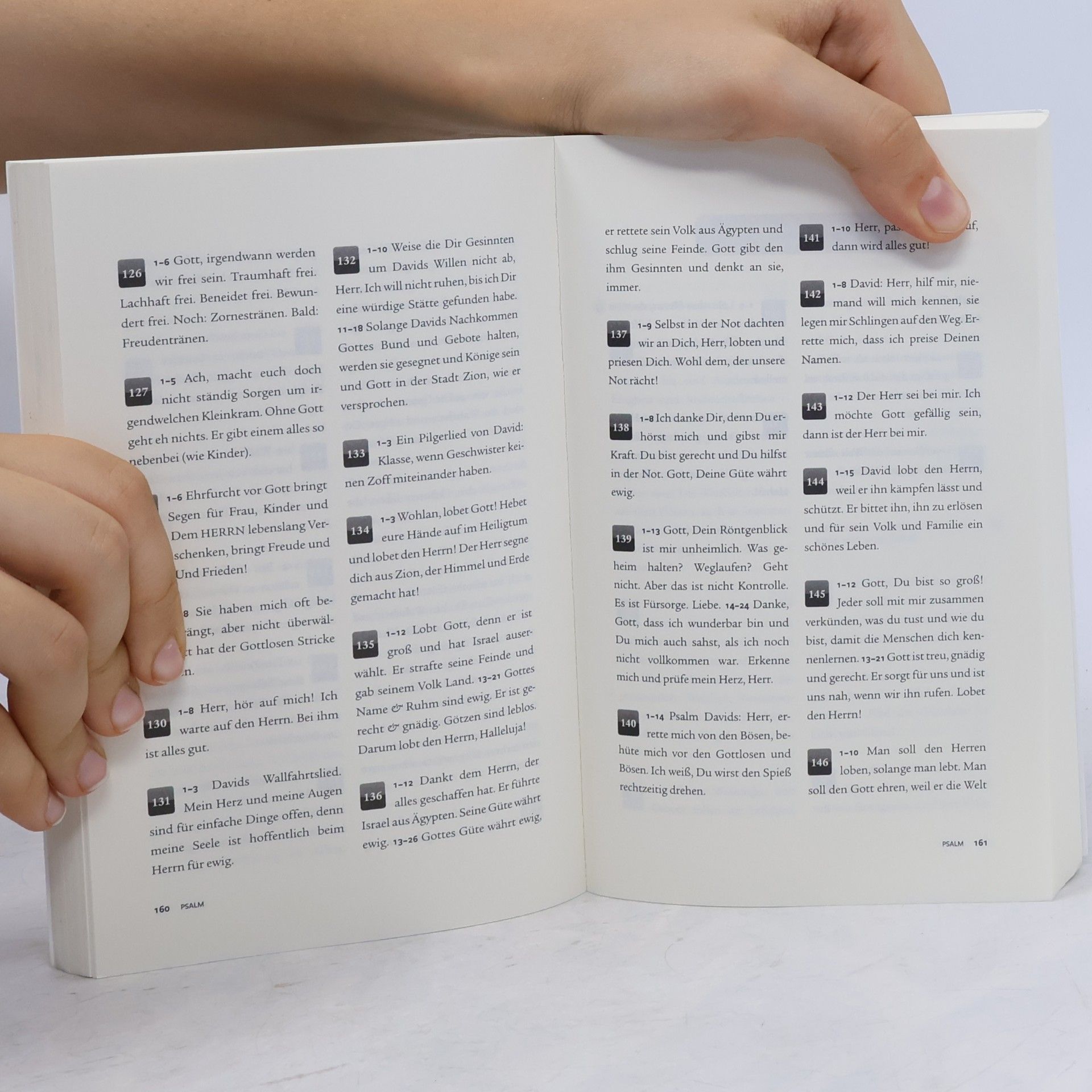 Constanze Grimm Und Gott chillte: Die Bibel in Kurznachrichten