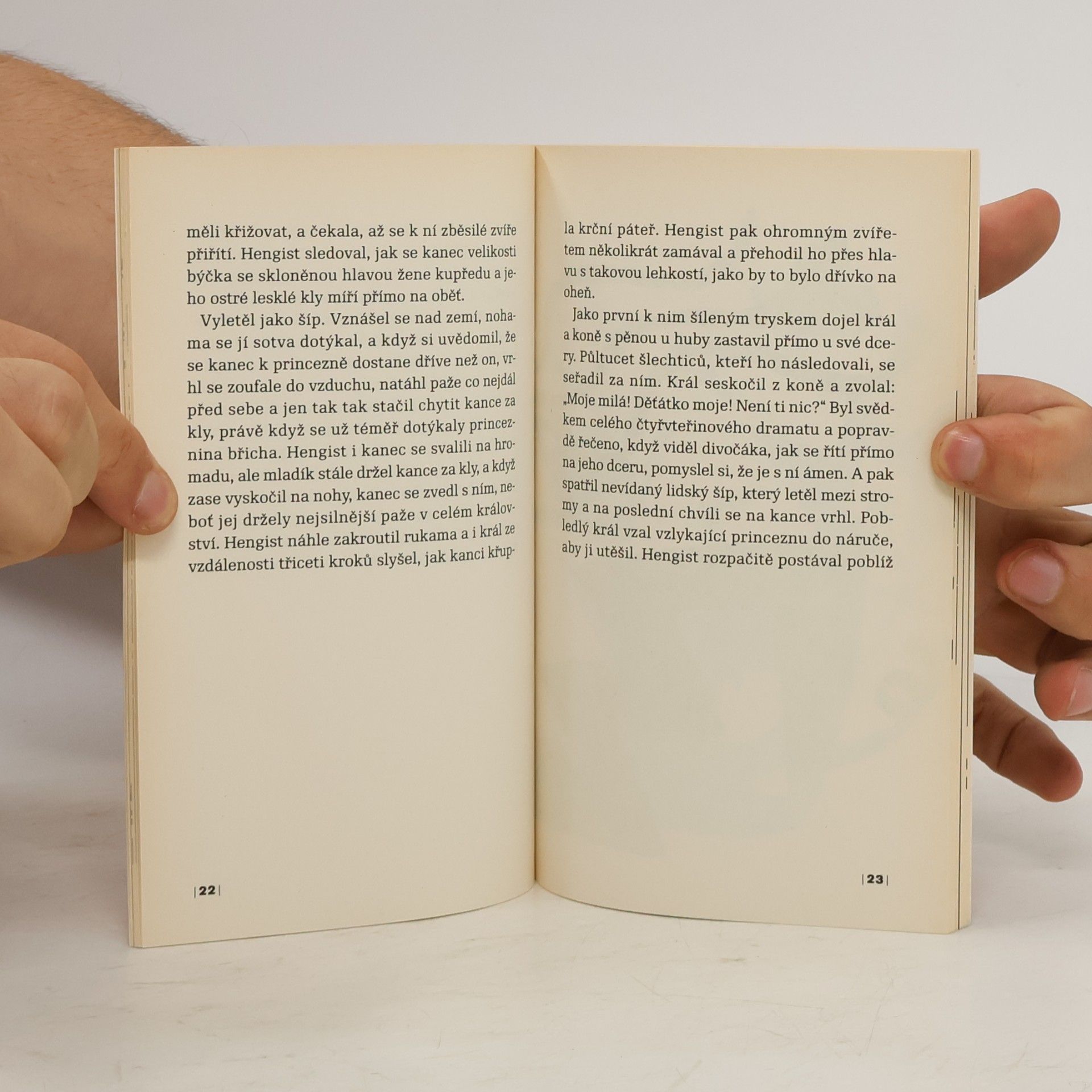 Roald Dahl Princezna a pytlák
