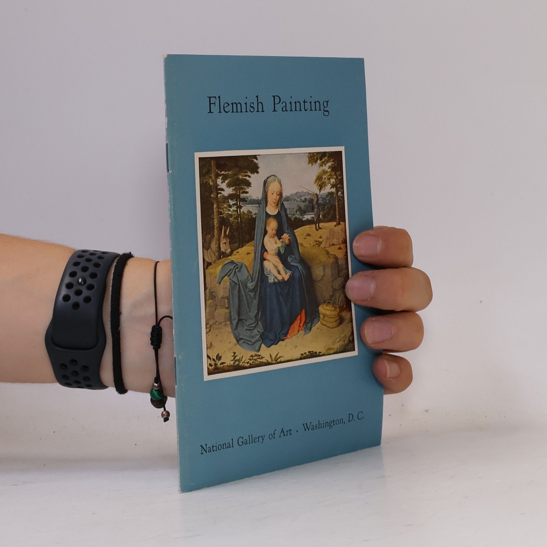 Various authors Flemish Painting
